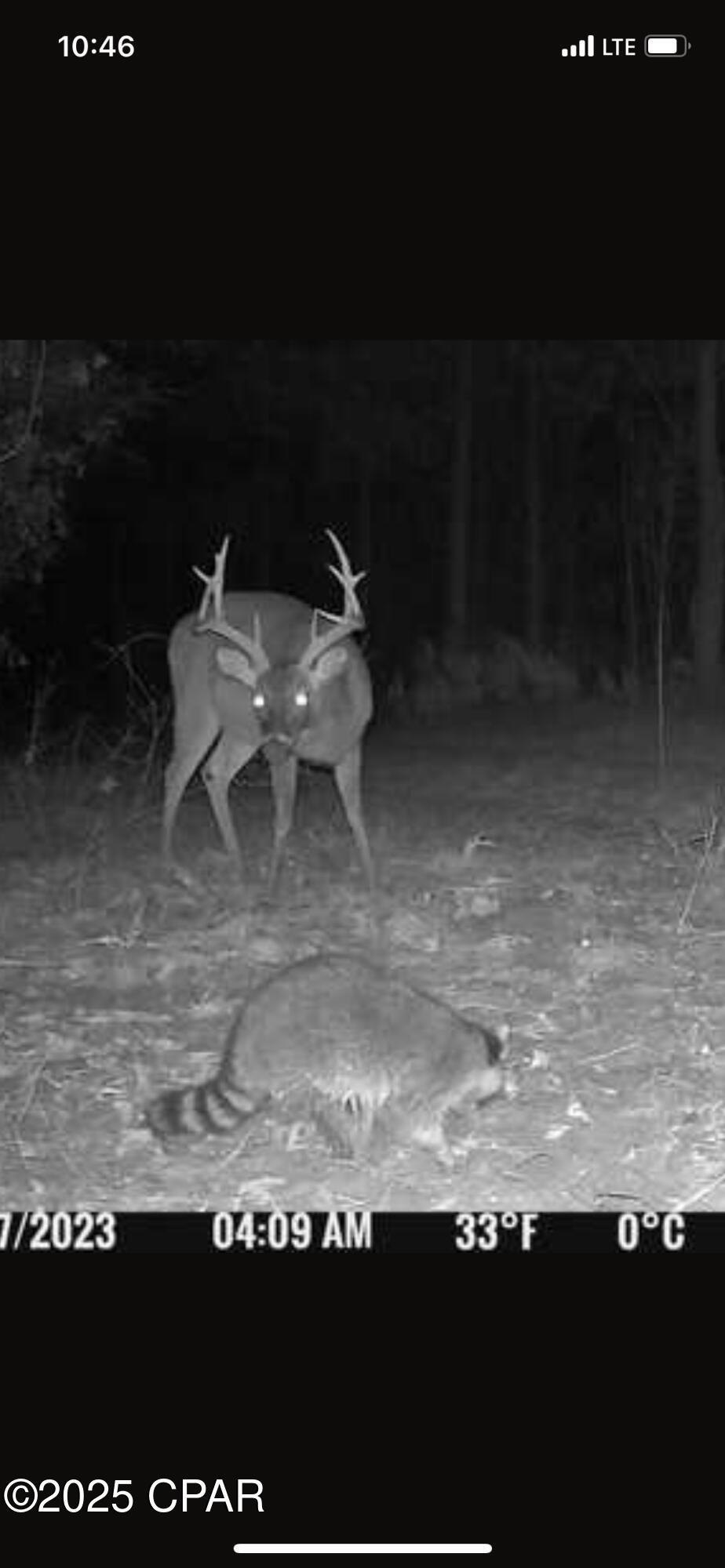 Uqpee0fe3jffl411feyn6wgopkaqbj4lr5a_dayrzeq