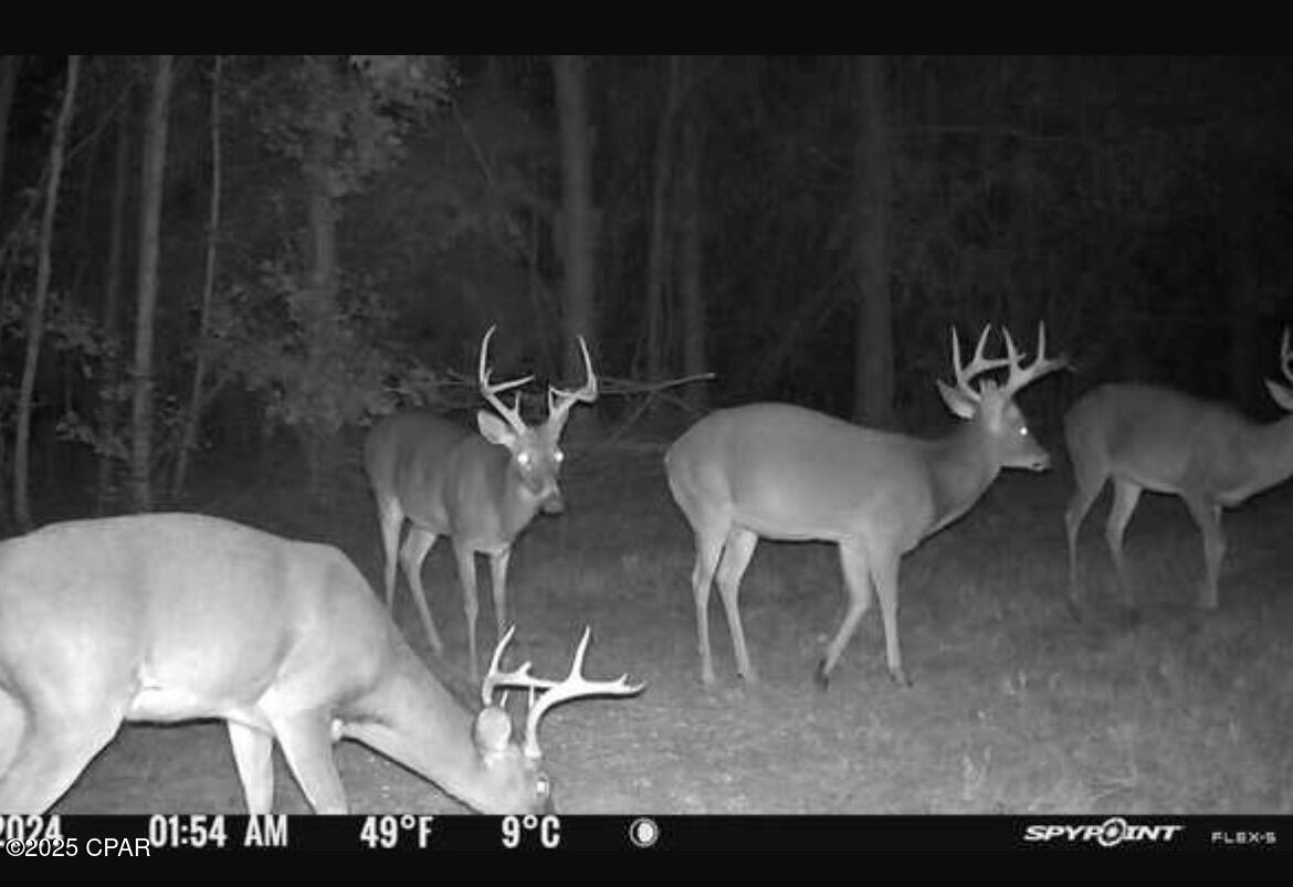 Zztymdu1kfbmo6dpd2vwdhekapmilsl11jhl52nxg9q