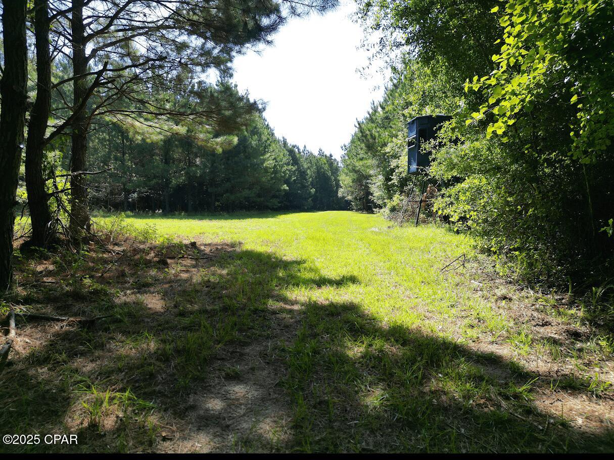 Bx8xfecbgydbvzf 1uu_d3mmgpi8yxrbpt_vtmouovc