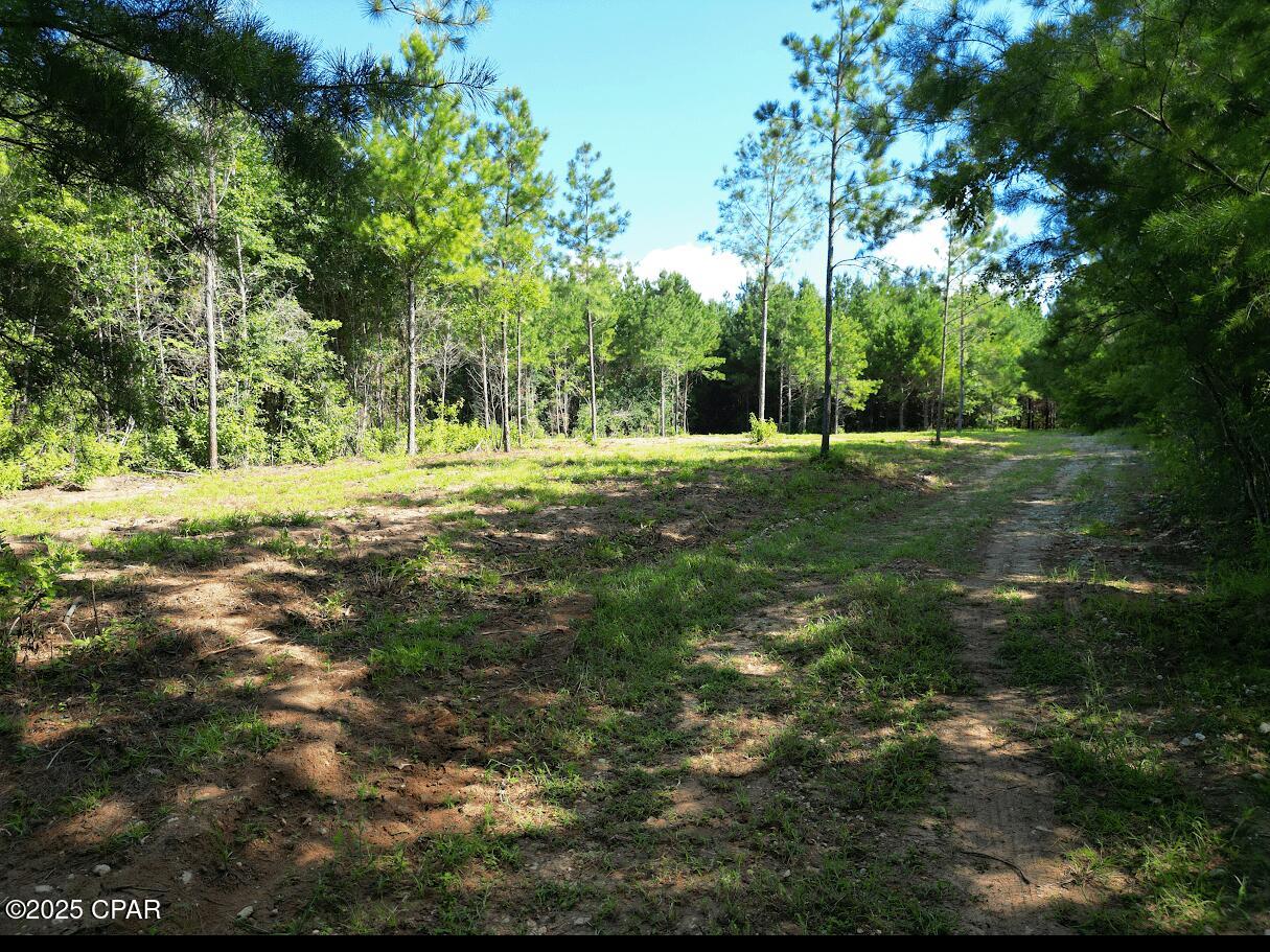 Tkz4m1ek43yiyup3n8iqhsrjb6mmaip0uyh9sa 7t20