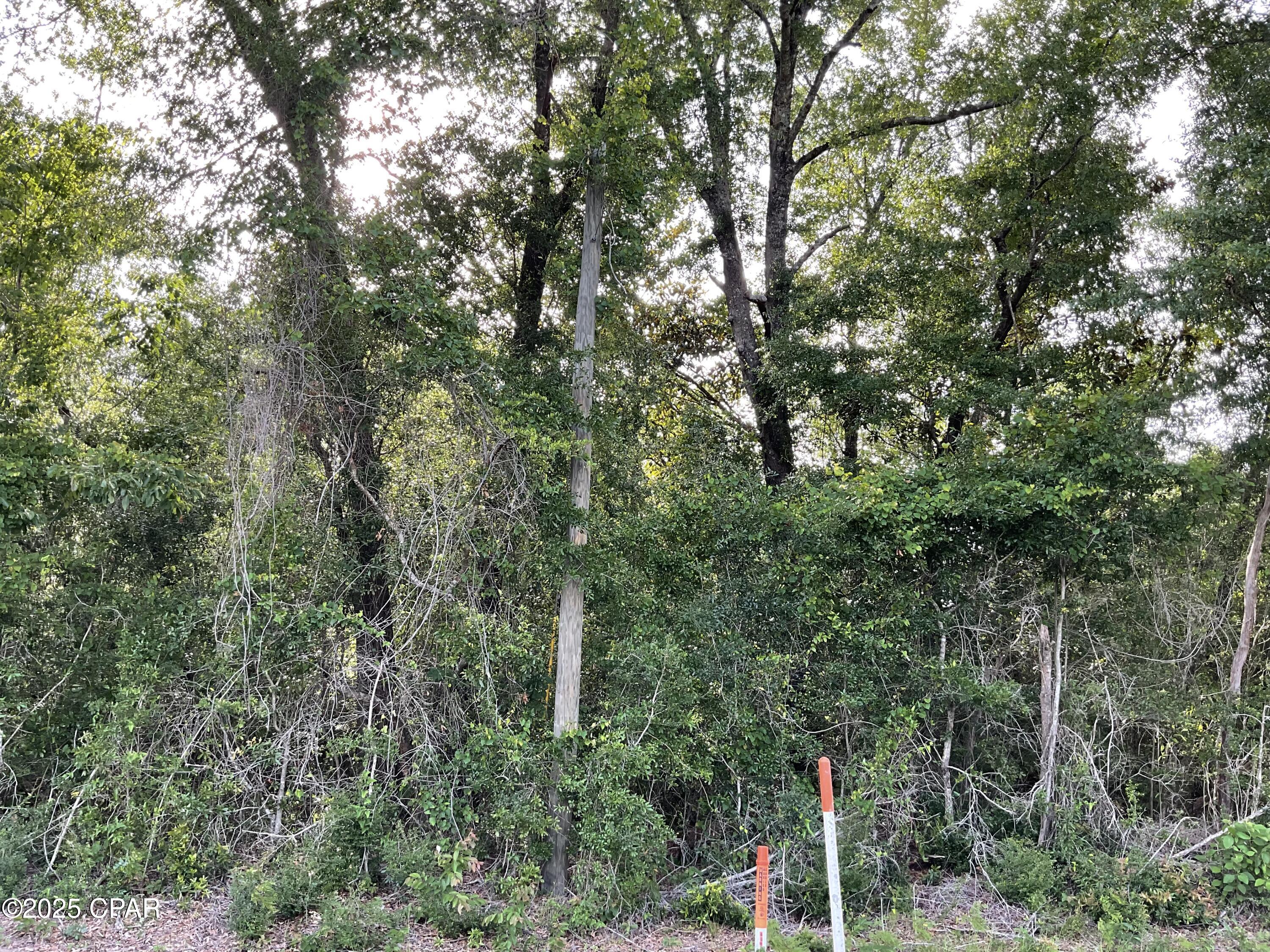 Rmiyk81uc2rugnzcbt99tiw7r0w Jgpfmbgf6navi74