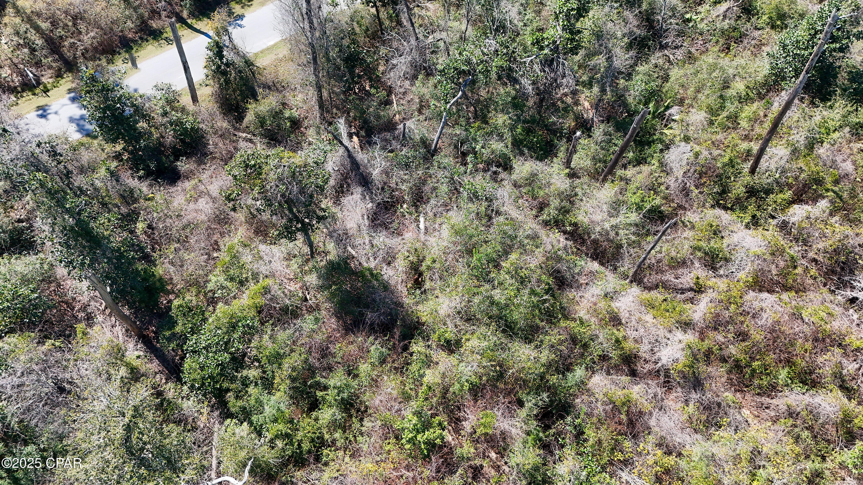 M1c5enddrior_uny1elz3vdwts_u9mscci6jy0jbeny