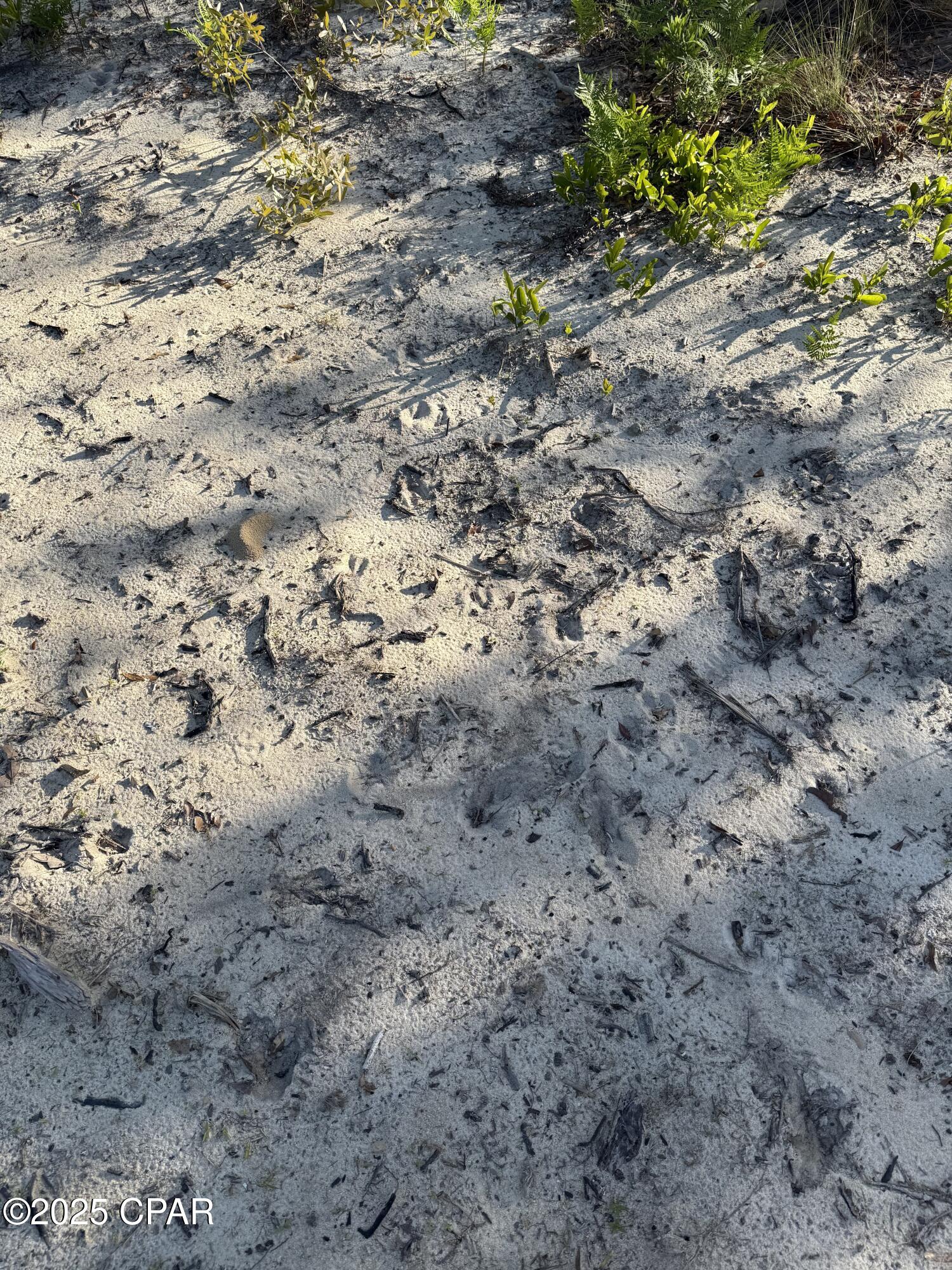 Y2gzwe8aj5yrsf0m__0gntahwscn5akomfybpg2bsve