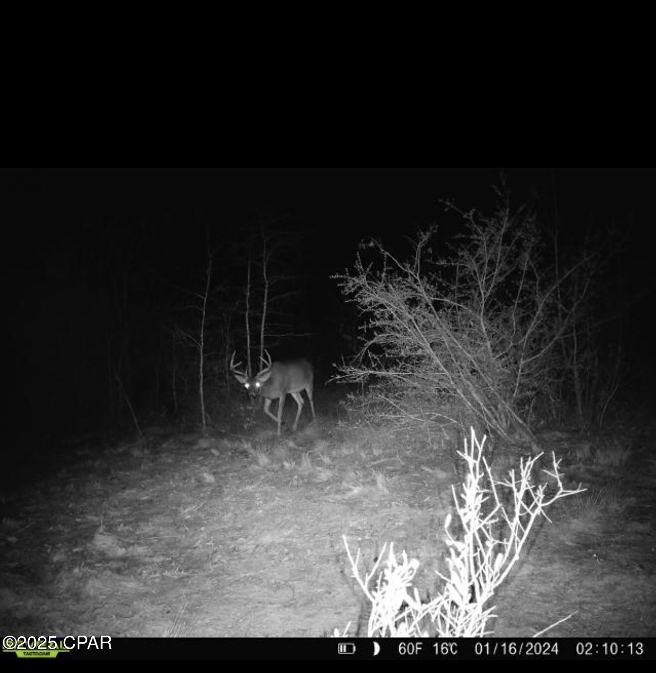 Zjalaert9xf8tmdh_uzifvx2ssbvrben7ozvjf7cy48