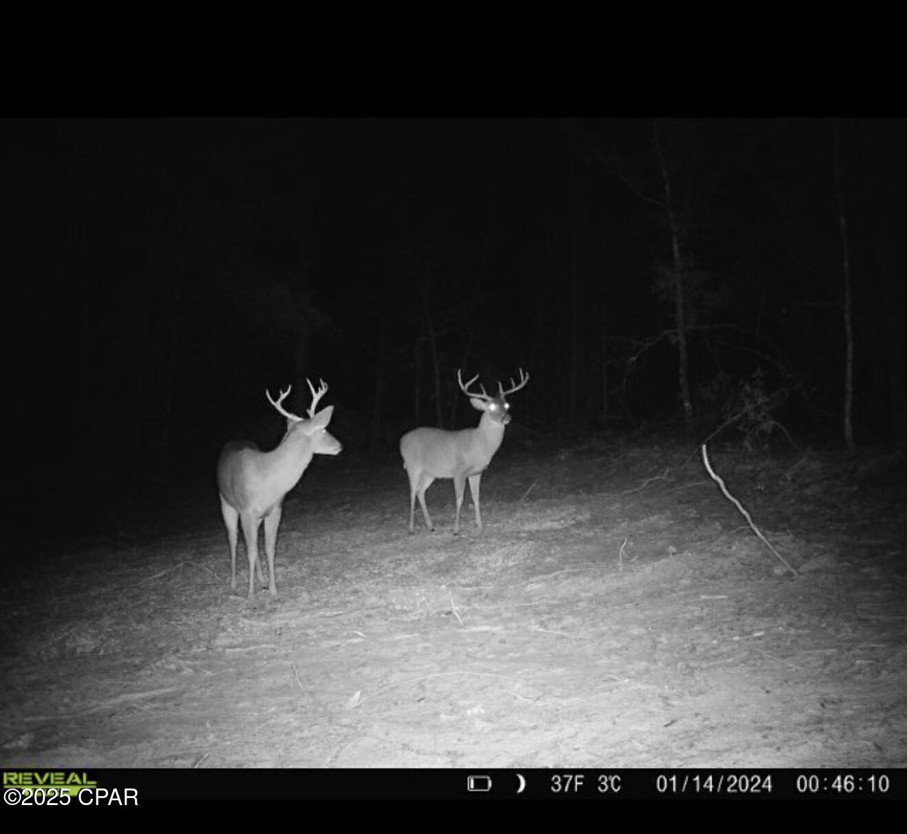  Y50pghcuwhrgqlyhtry9xr8sh2v Fjvmuz4x7gvwbi