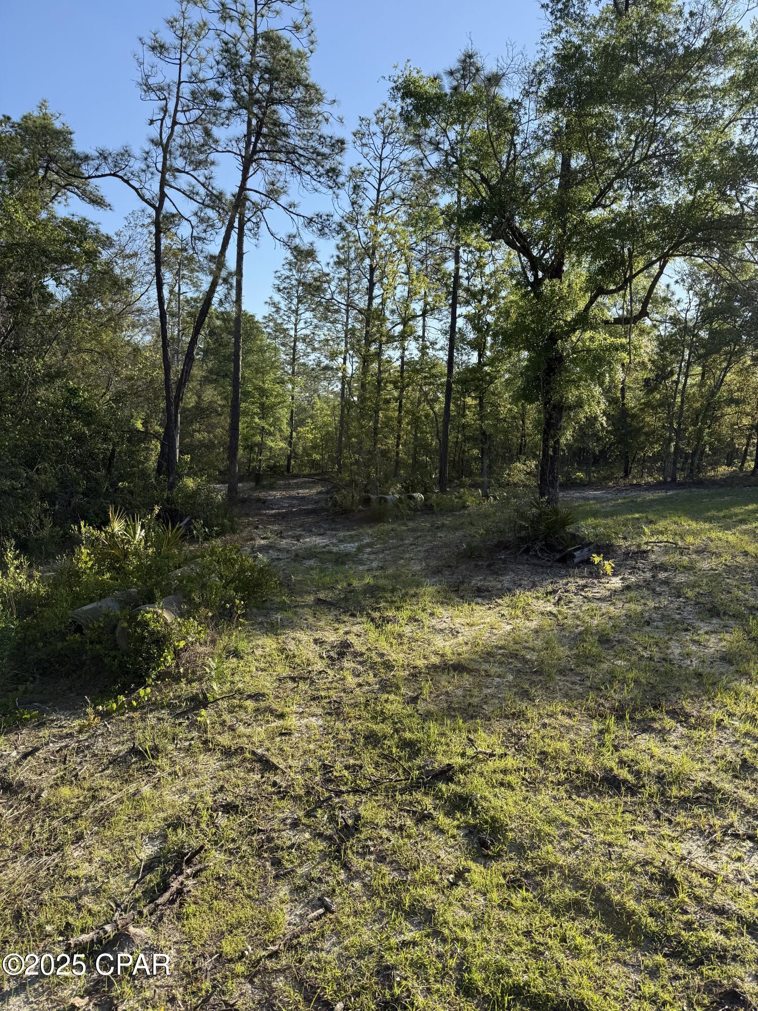 Sboaf1t3ooyfqwprn77jdjy8btxygt5cgubo2j1rvr4