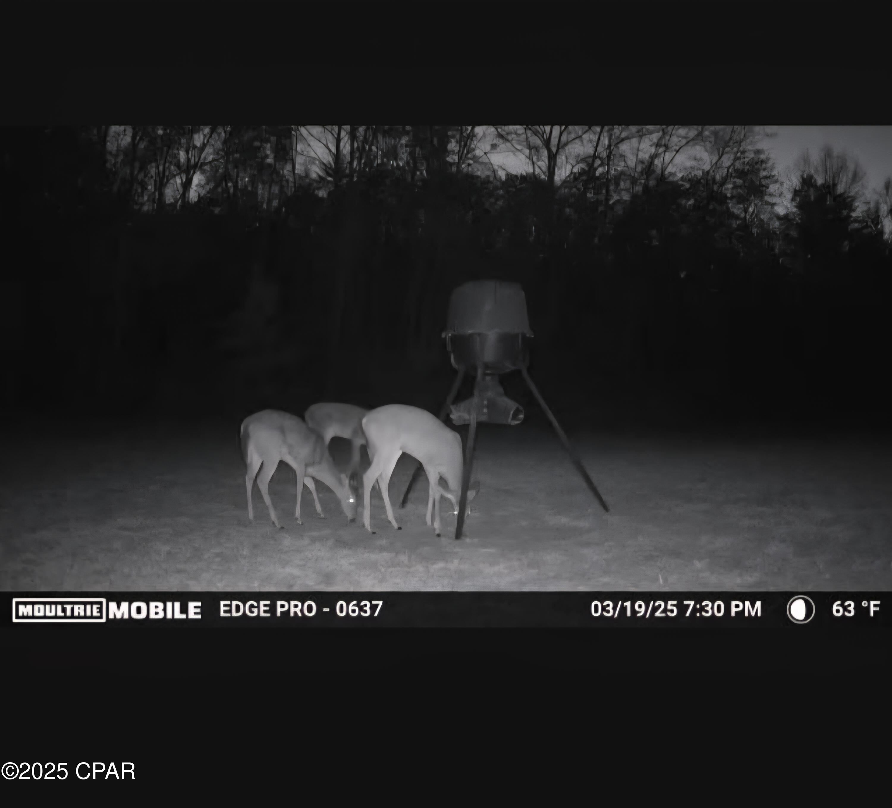 Yykcpkxvb4xkgmgc_iwtllpkve Z0uiwdl8yxwysyma