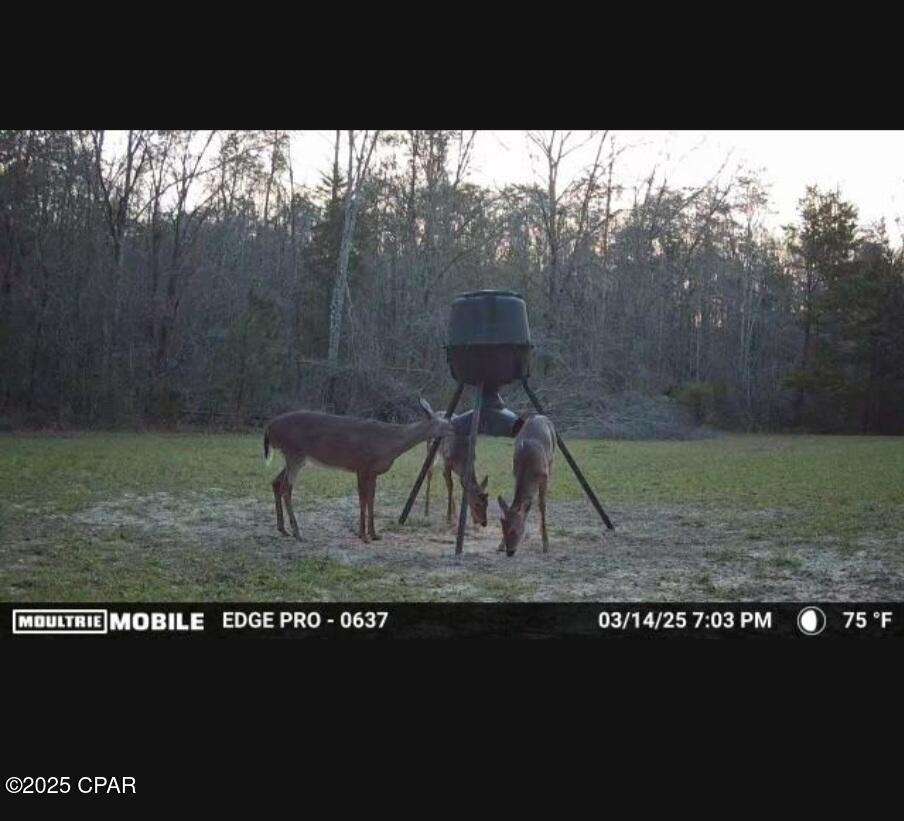 Bxr5vgaa5bgoozpv6vawn9mixrcppyjotwlmuzoidys