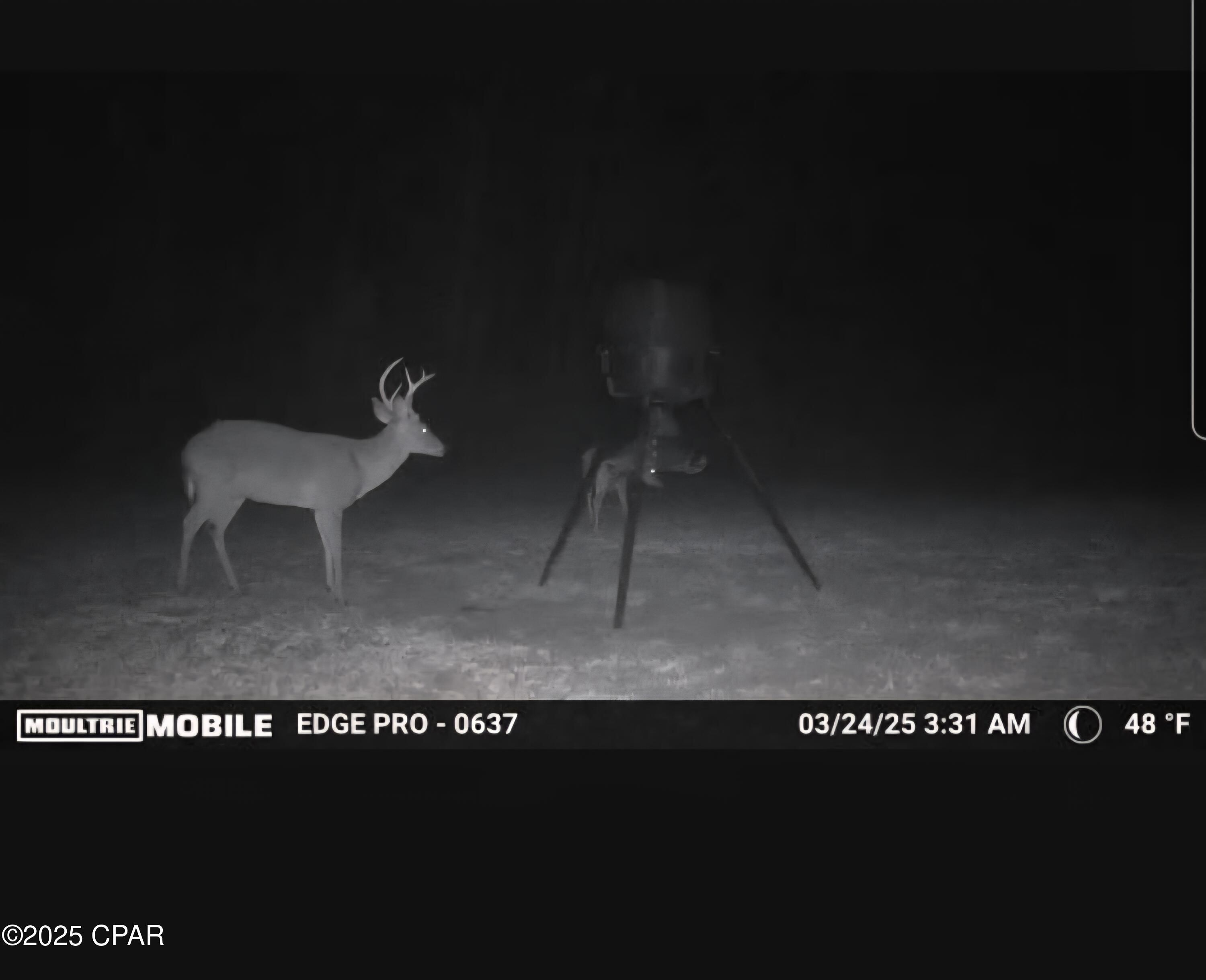 T_xozicct6wng_eqvgmtetamxukei8knv1k Bt1rqnw