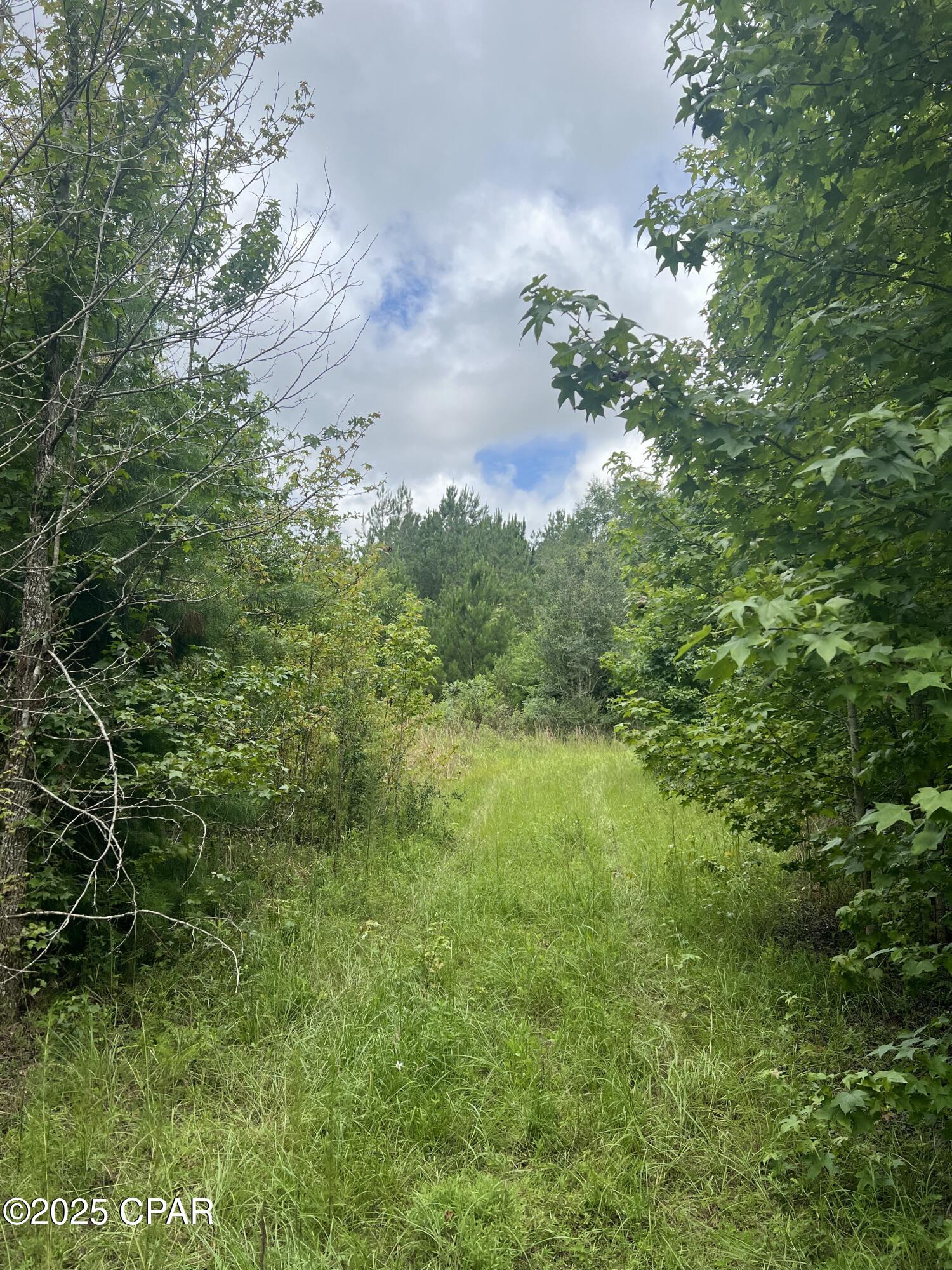 Kpf5indovfu_jbhszc1n6rmsmzdxp86kfeufvewhlci