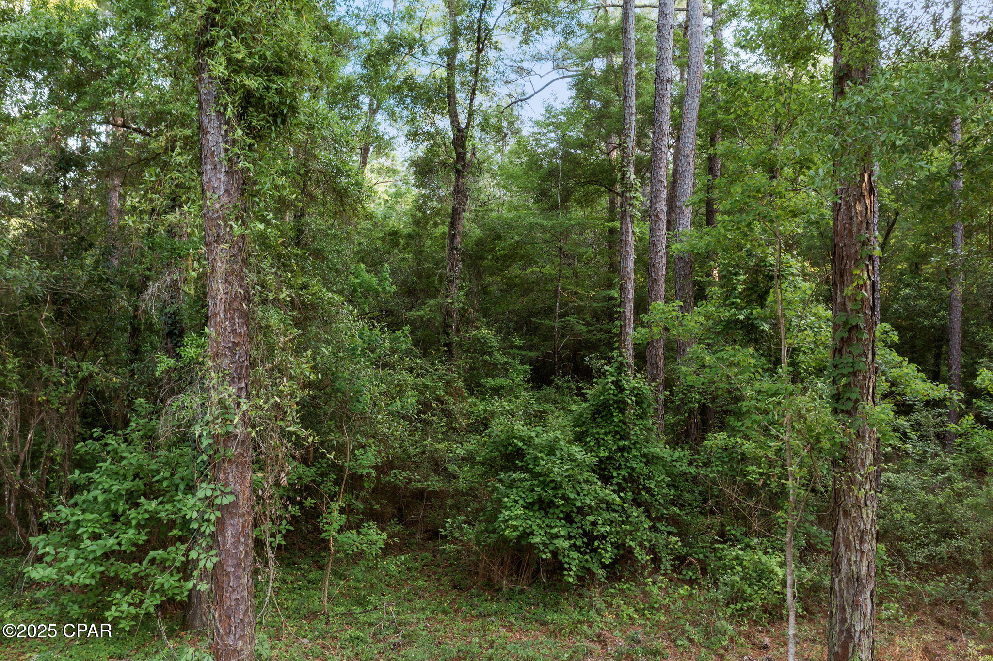 Ydn9diyoyowbx02cx2xa Pw3nvepjwu7fy_v6gjbcrs