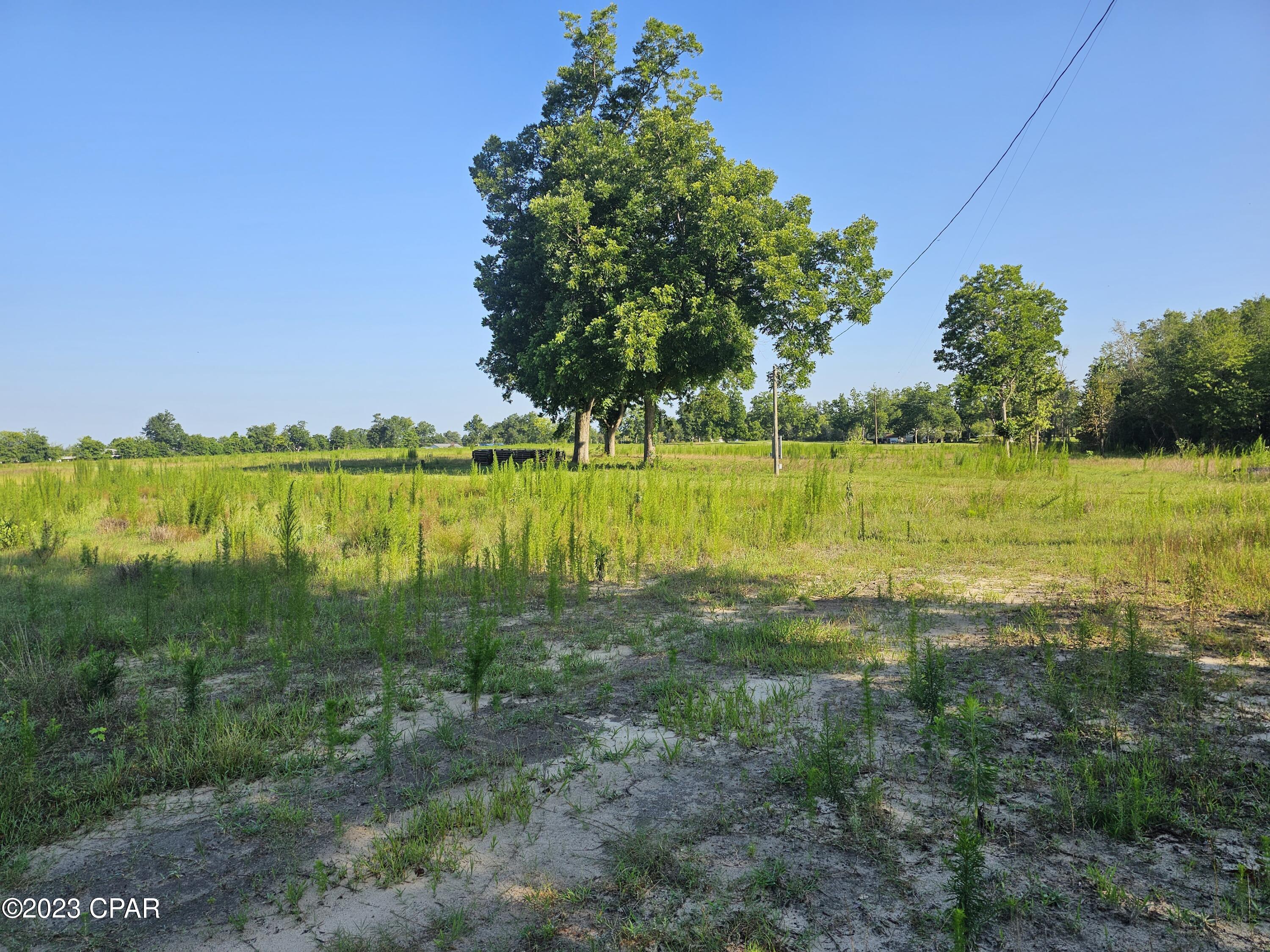 Image 10 For 6775 Highway 90