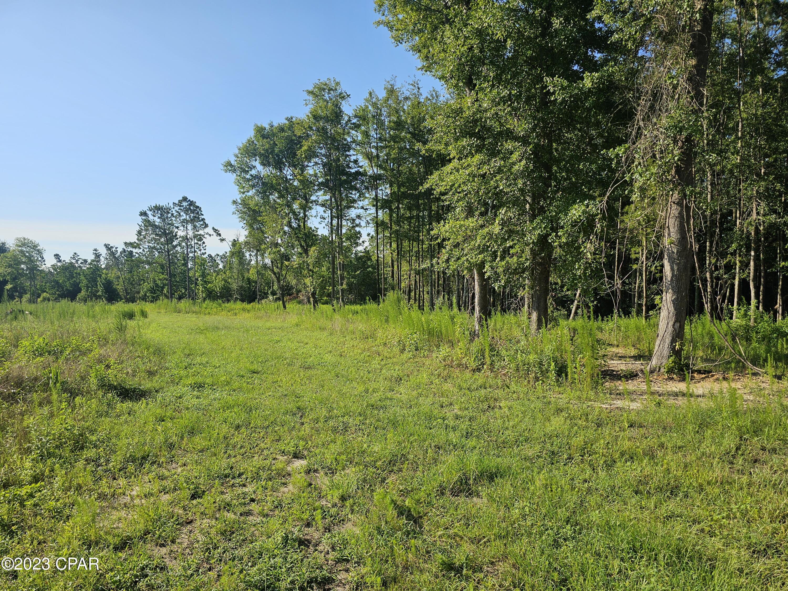 Image 12 For 6775 Highway 90