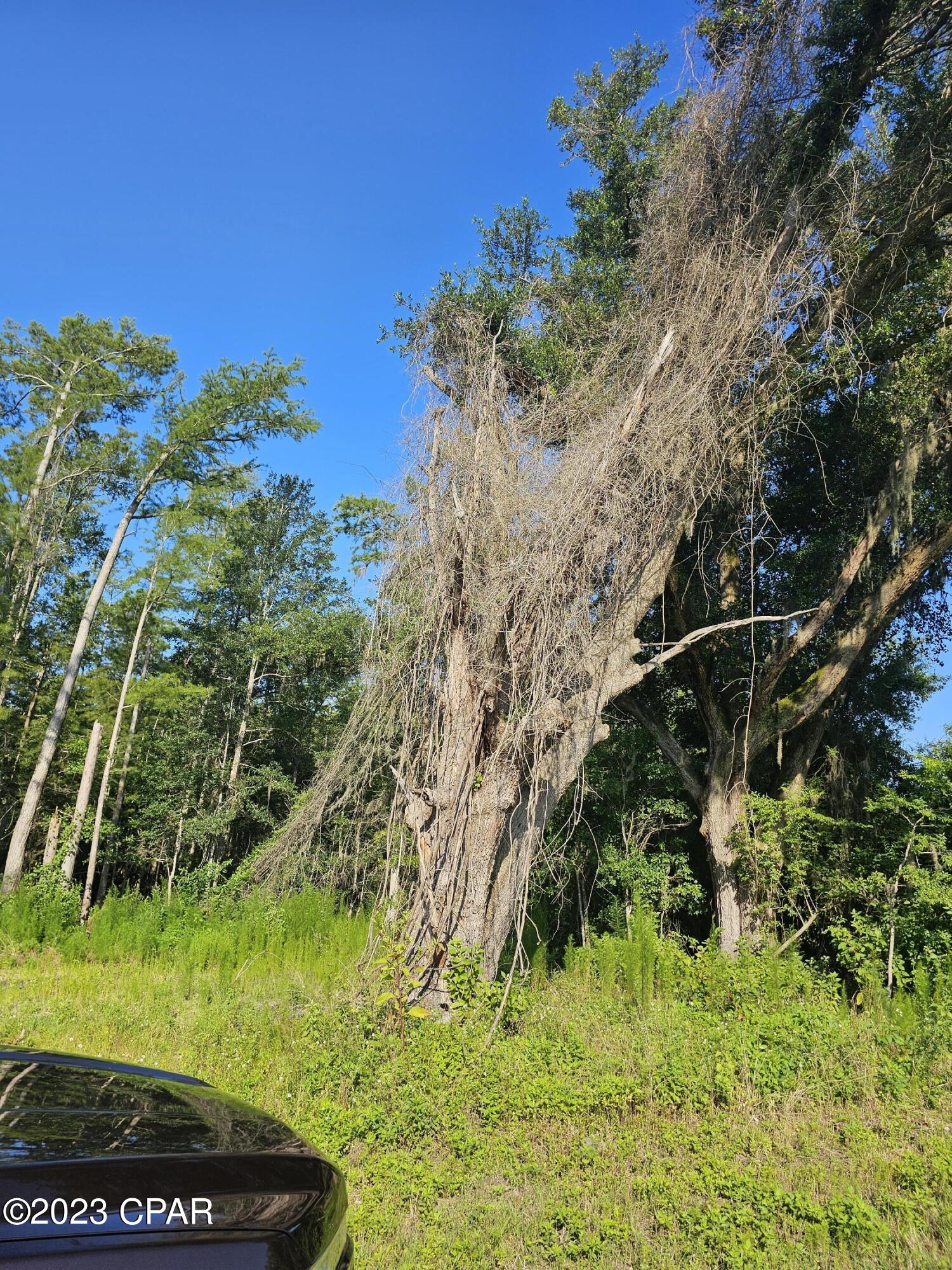 Image 15 For 6775 Highway 90