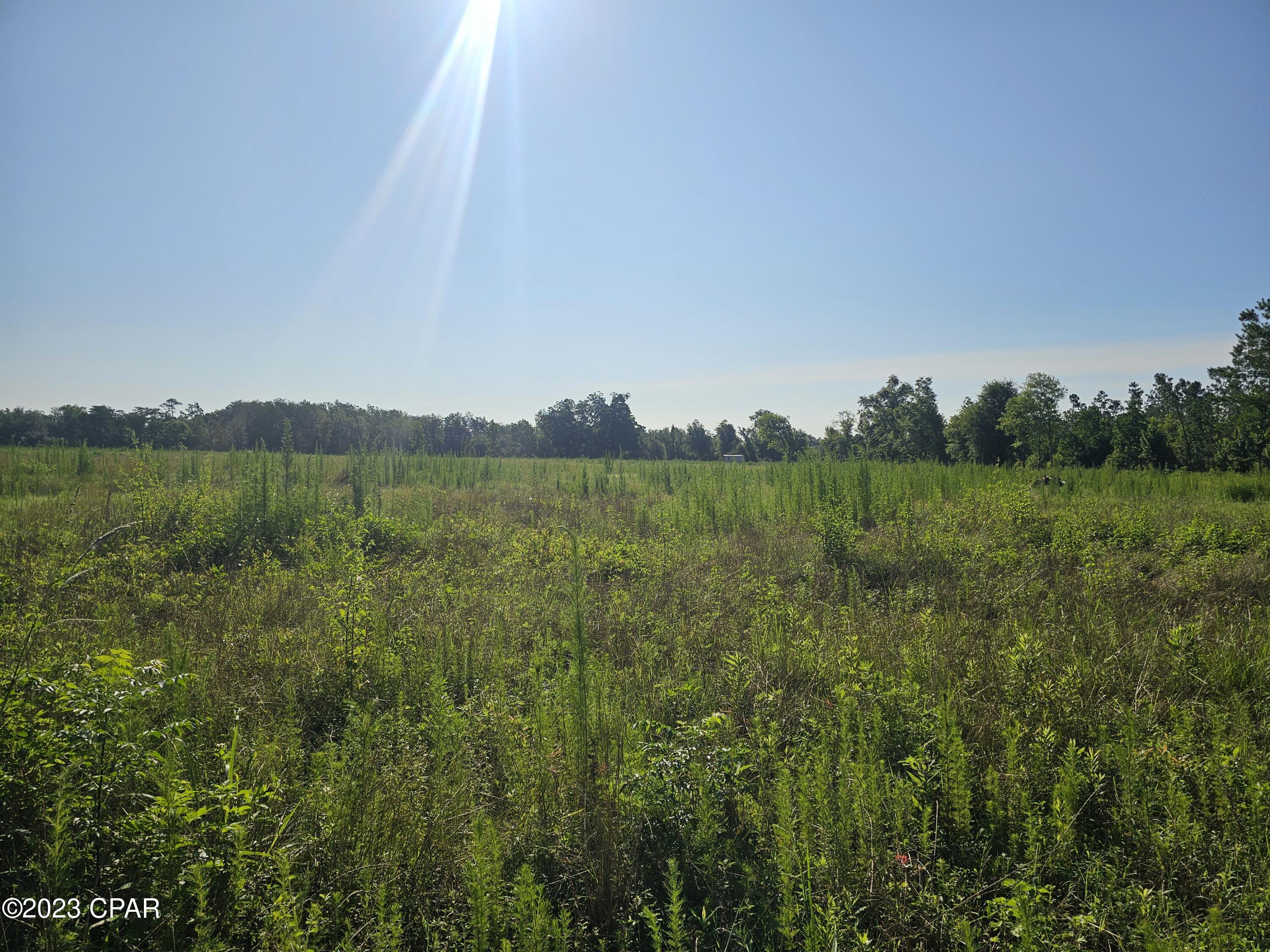 Image 20 For 6775 Highway 90