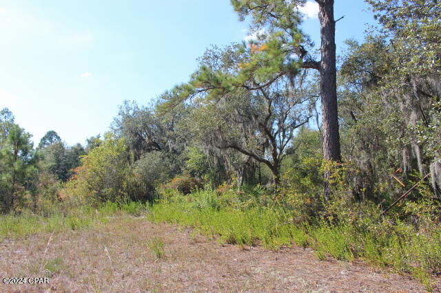 Ls50hof Un4j_nc2ax8jdiadko1h7wmsmnpaqw8ofus