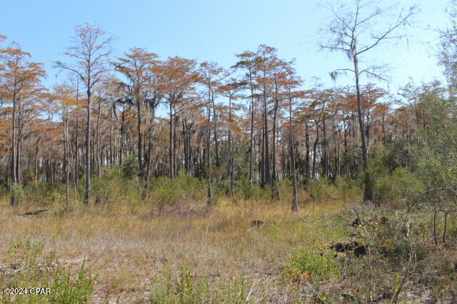 Yihzxyltnv0z_ige59etv4yqs9ksv6u1y F1u1gbjlg