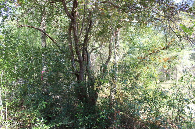 I8i0qzexywe_uqhb625siljvkymguc7tkxtupn1pdg4