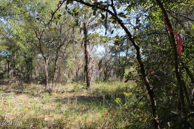 Y4wqvwf7ydv4fncgf4brrf616lya1zjnnj_d1yfjbmw