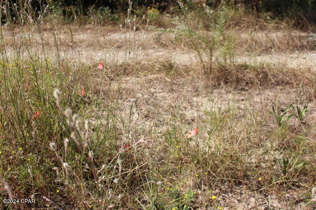 Ocm1nzguw95uz8x9pzkbhhsbu_puoegqsxhqquqytgs