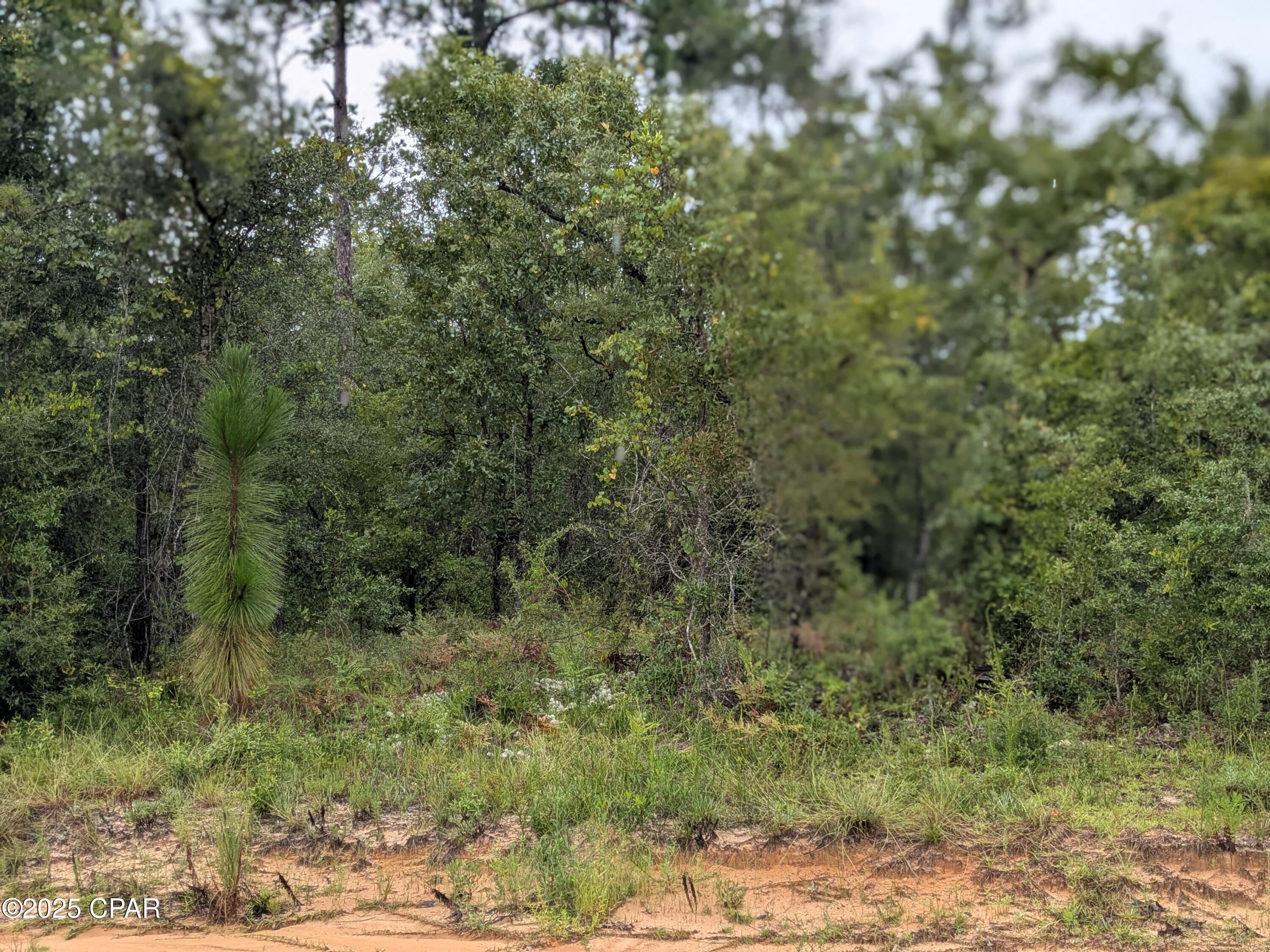 Hgzp Wpgnio_jl_mn8vwh9hysabartw9p_6cmmtp8k0