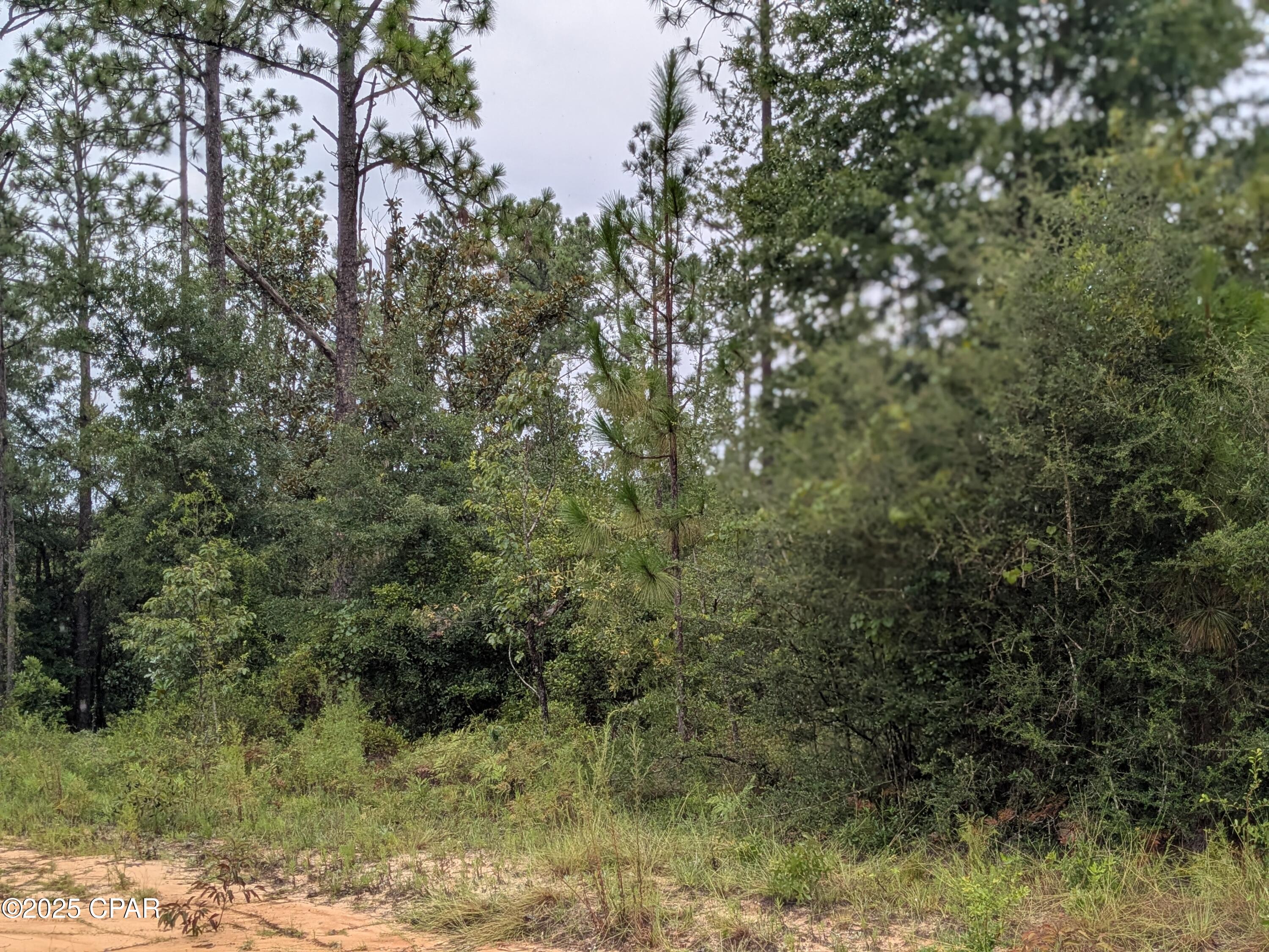 3hicrkkew 5m1lfoeaaatmv0sc3rj17zrkiot_lbdqu