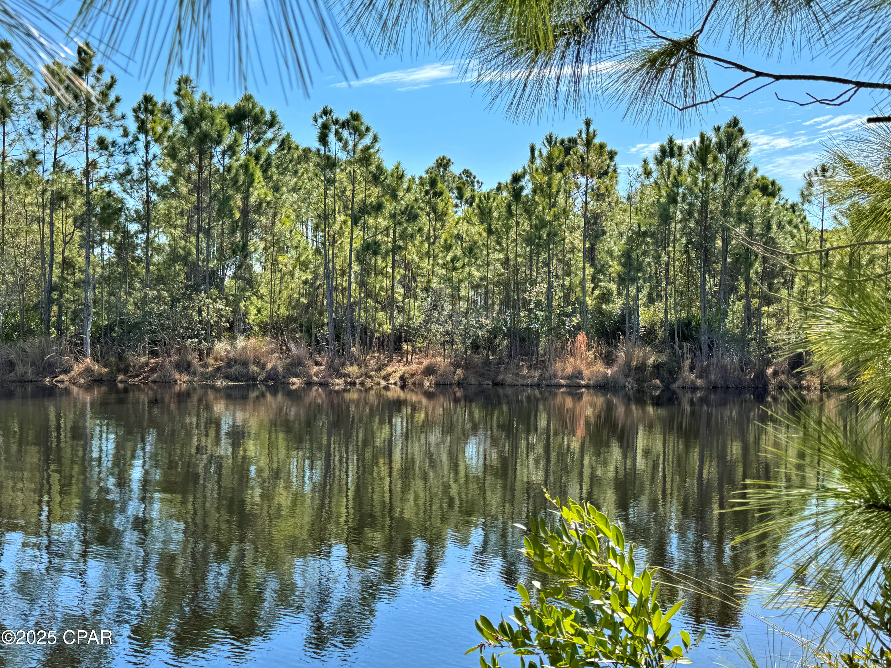 Forvnjwvld6eu4p4cw62mk2hrauot8zo6glmups4qjw