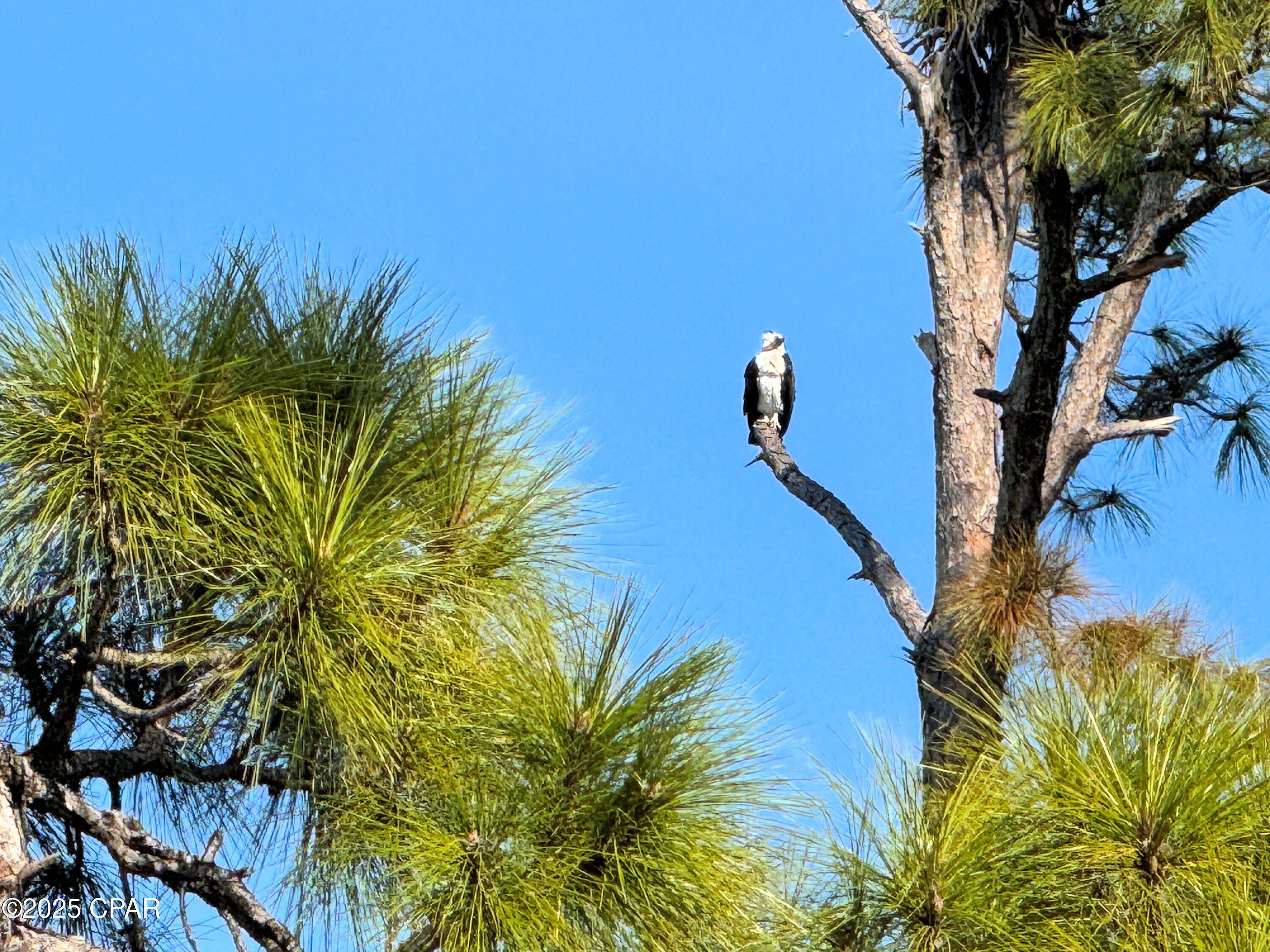 4uha8puww_h9eufjym3stepqnof Stxfi1hot8u8ayq