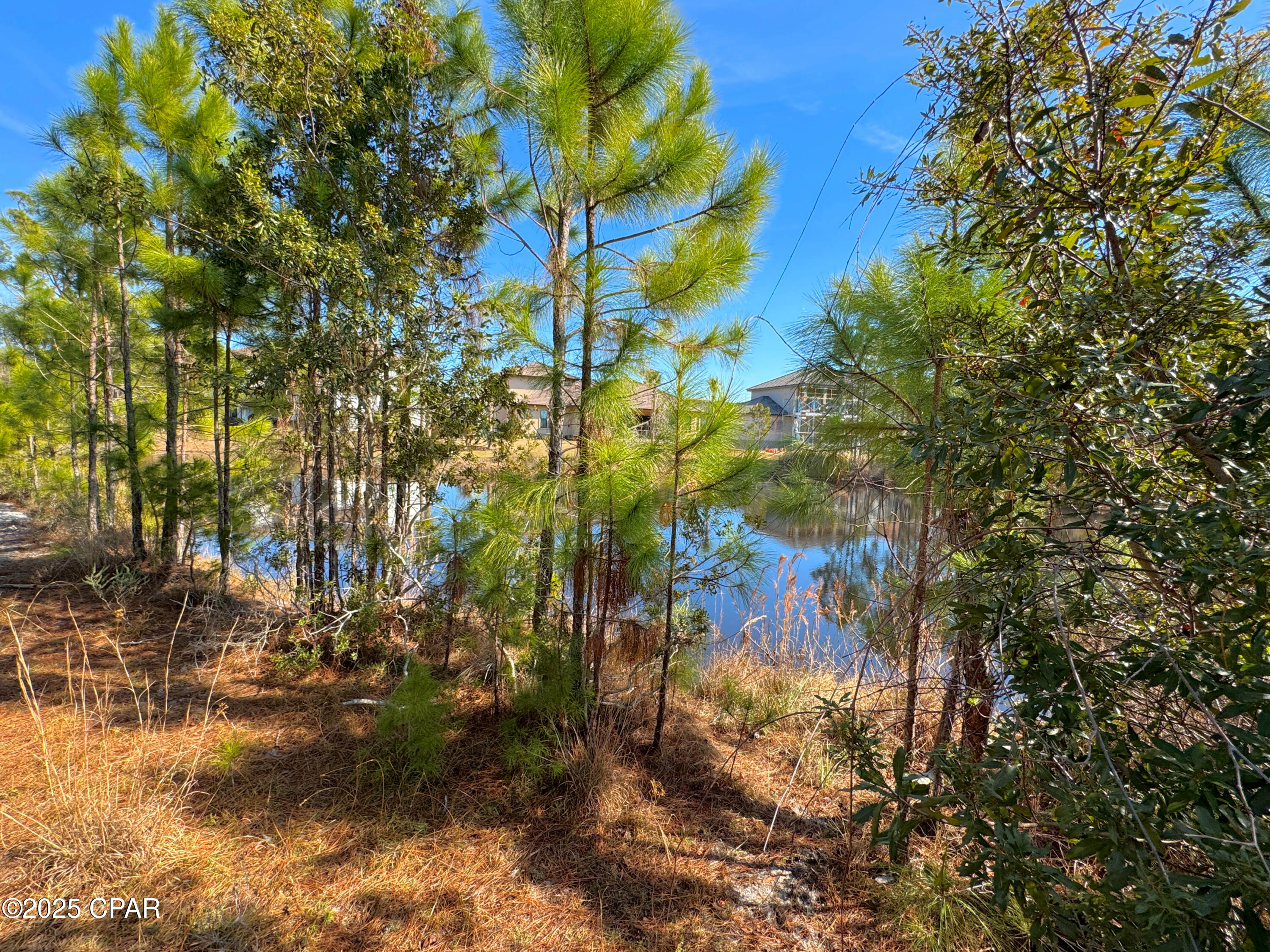 650syjymdt6ncfvwvkuu3o Pibroy_xrbqiu_rlq_i8