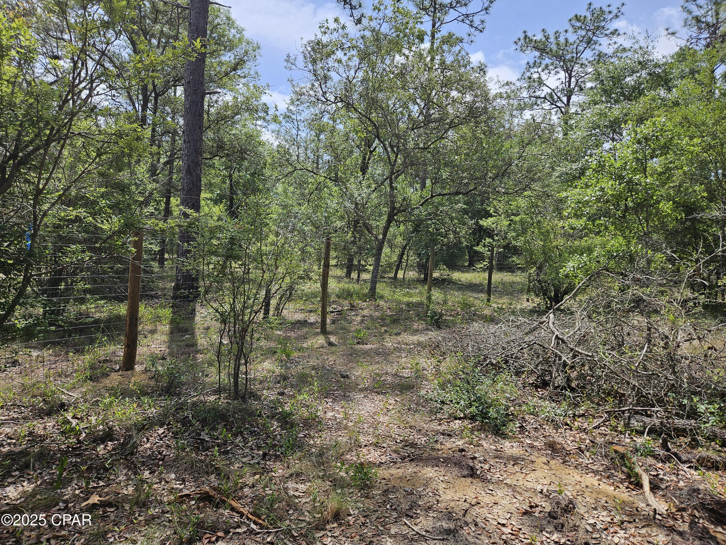 Kzdsammafpbbzotaxfv025mbs D7pl67i2ebfwitrpi