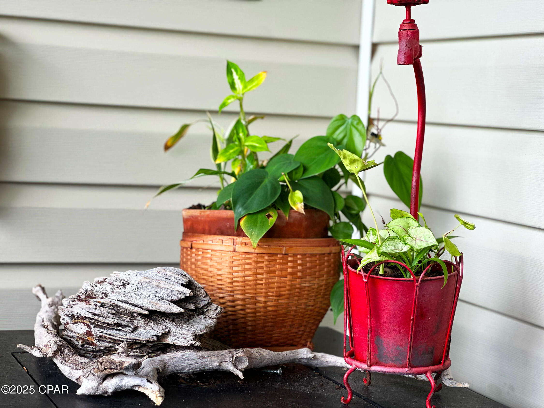 Ogsvgcx4xq96ojlm6_lsdbeh2hgcxoakaxzx7wacgim