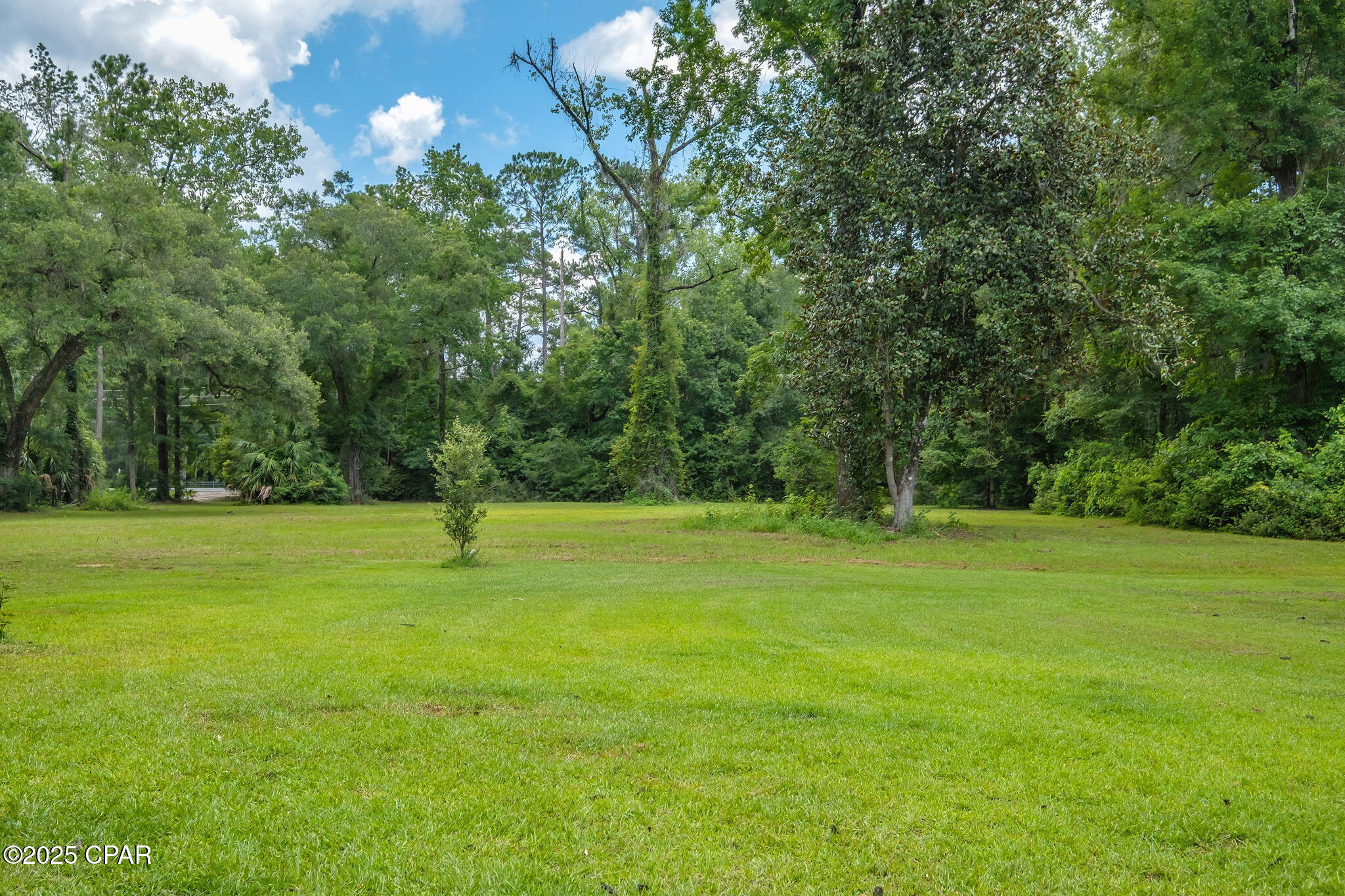 Image 7 For 25 Terrace Lane