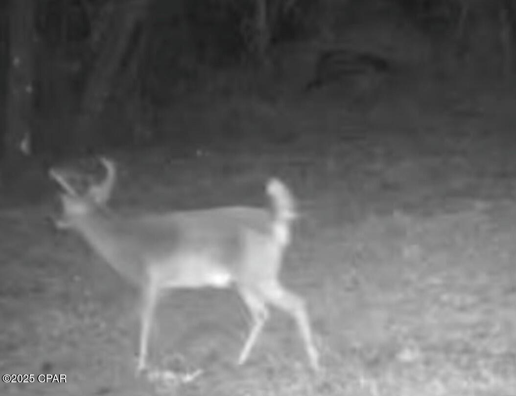 Auum8hydjm8nujiwpk8s6cit54yhnieerbnf3mei89q