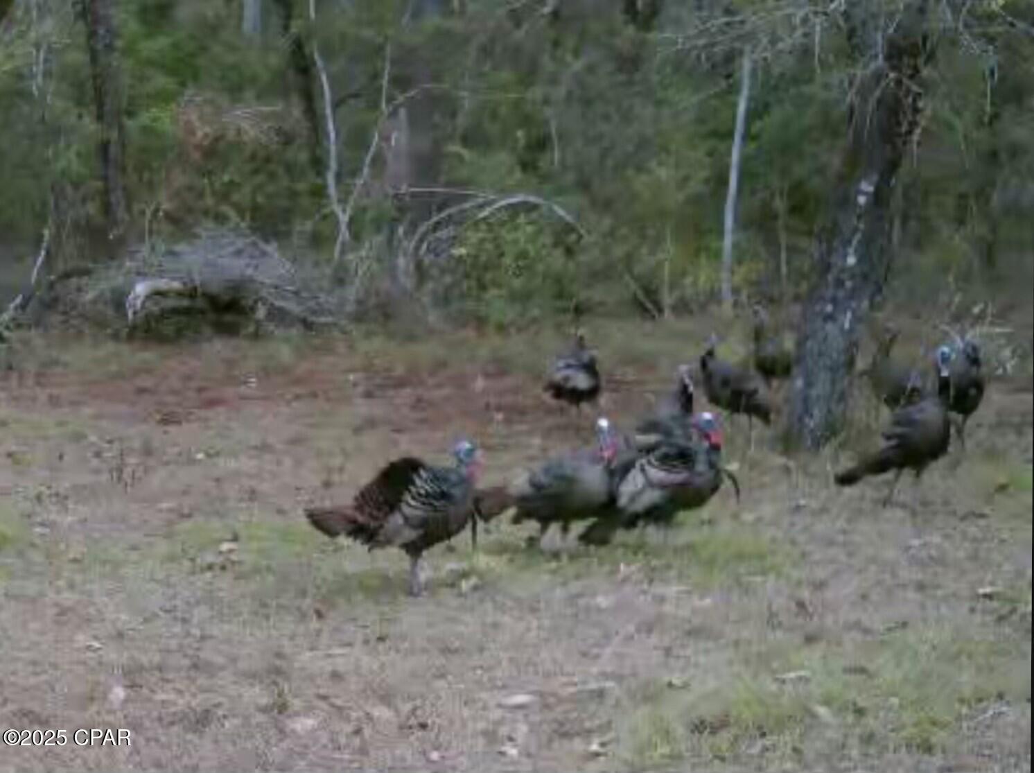 V0v6dwphrlwt9v53kcwsgkho9ye1htizy8wtj6obkee