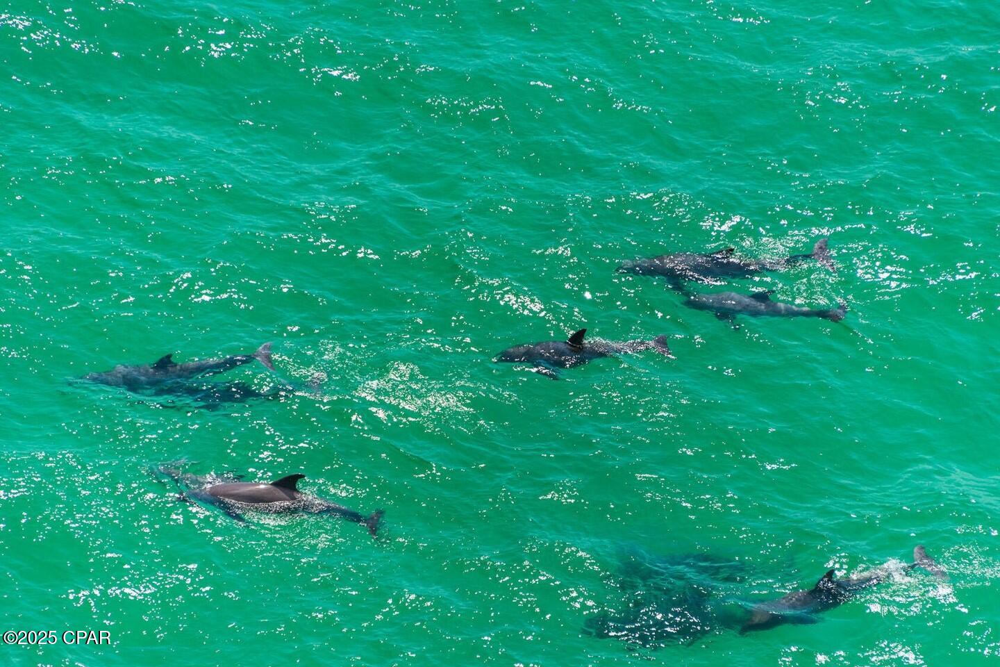 Ppob1x Dyab_obpog7iwcnd9or44rjlq40qjqgekm O