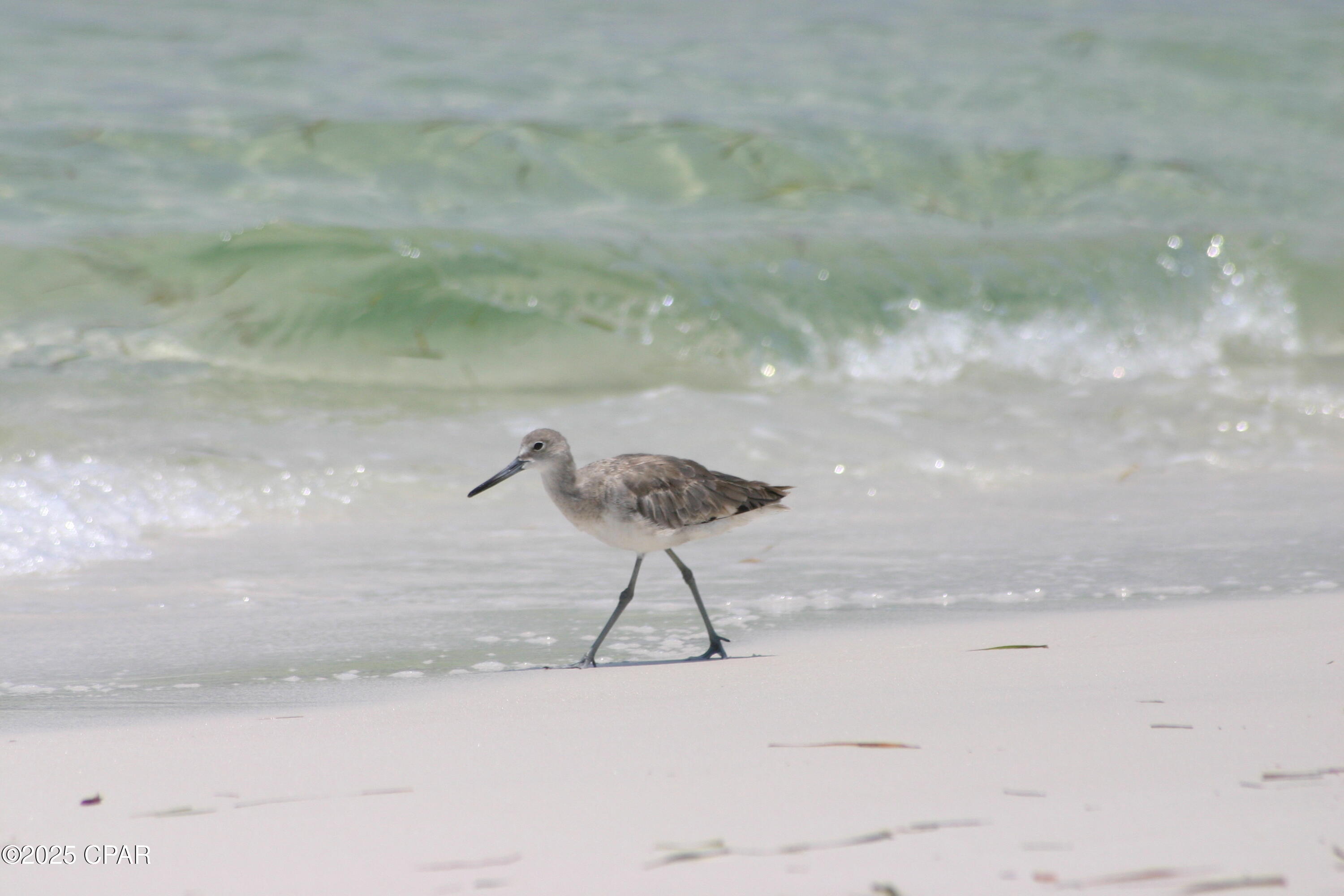 V Pdafmiuy7rctrtf0d_ptlaow0zaagwmzf7cwclxvm