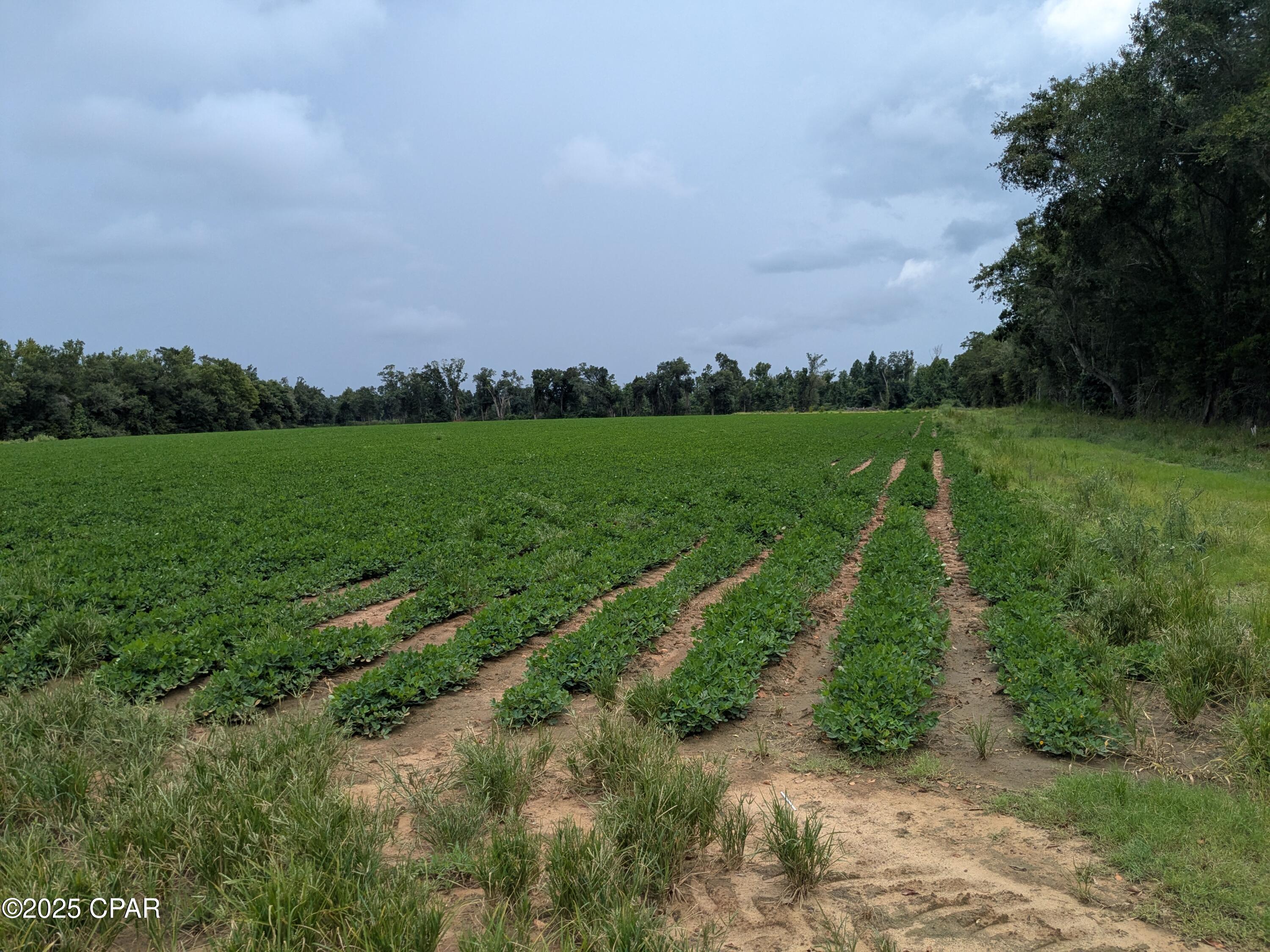 Lxiybfkjhv3he_b0sl7h7ymclatx74asc 01k1esq3i