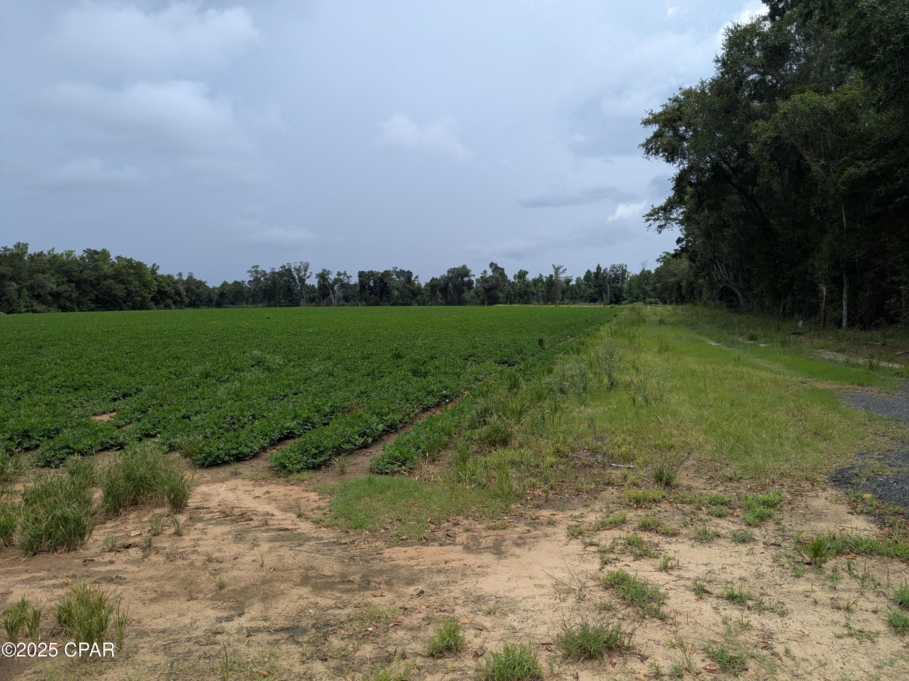 Wwpwohtobwofx_pq77kx4mqf0q0eod2z9guwdlzhuiw