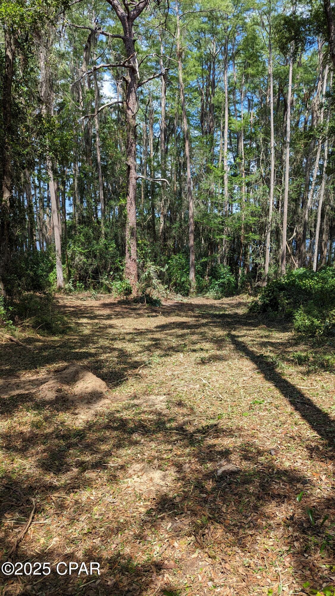 Jse9gka2zzn9xz_upa7hv5an Bazyzyuu7ogfxjs5va