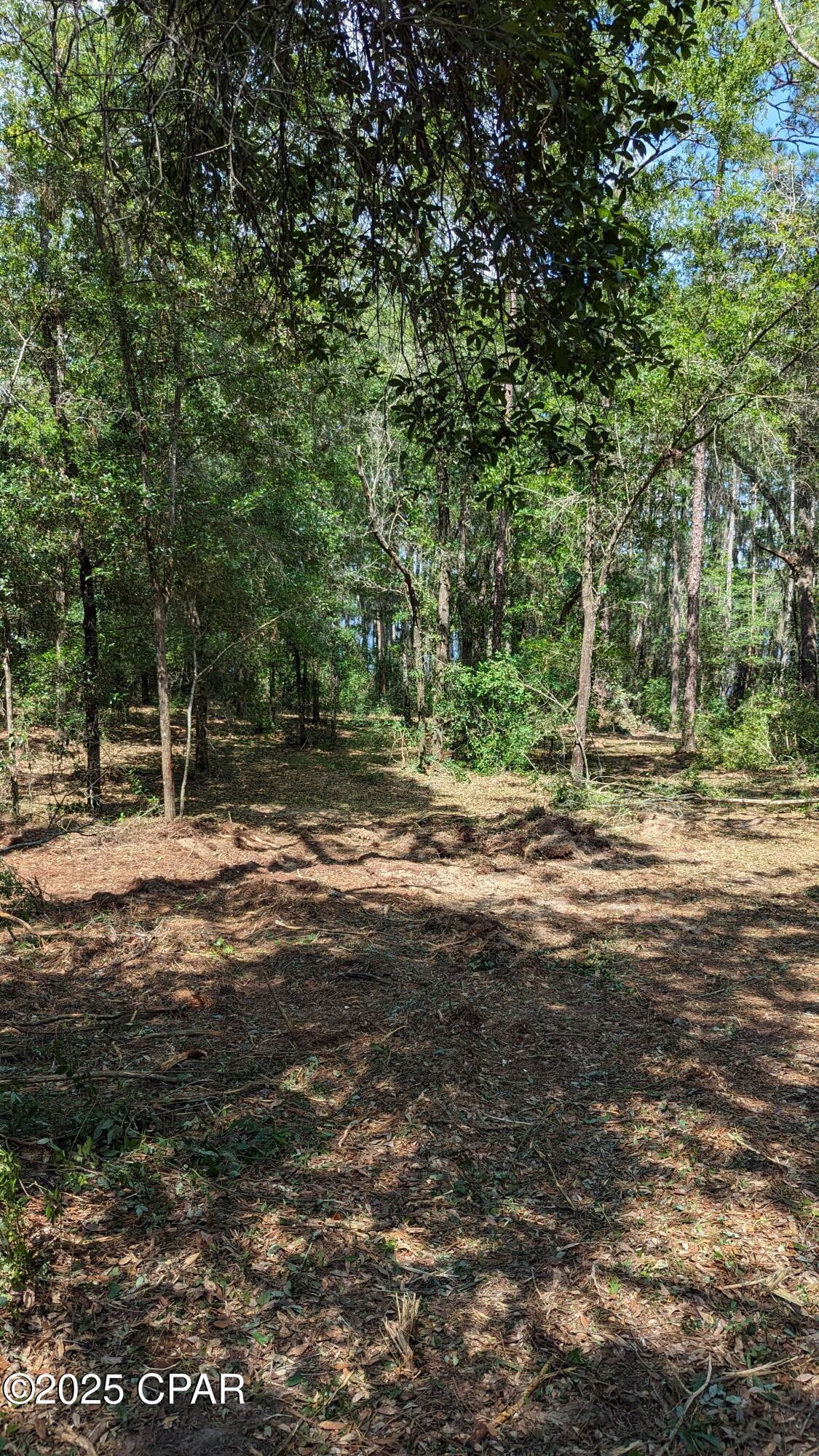 Q9c2_h2hzeddxzoz2g42gkzegn61qqzf1pdnguaqs O