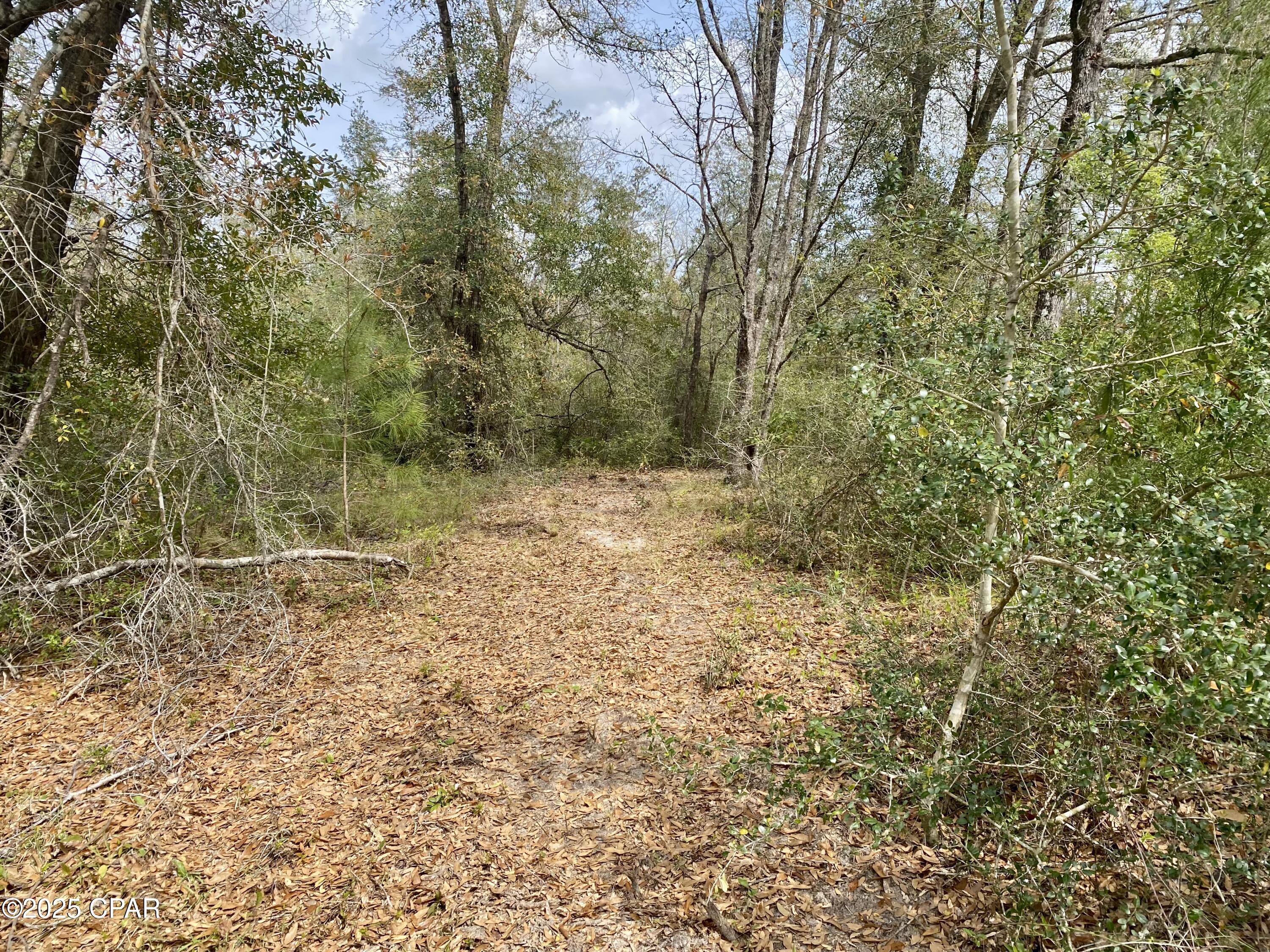 Gmawjukcj82aezchfmwwdnxa3pocz5o7no3_svgease