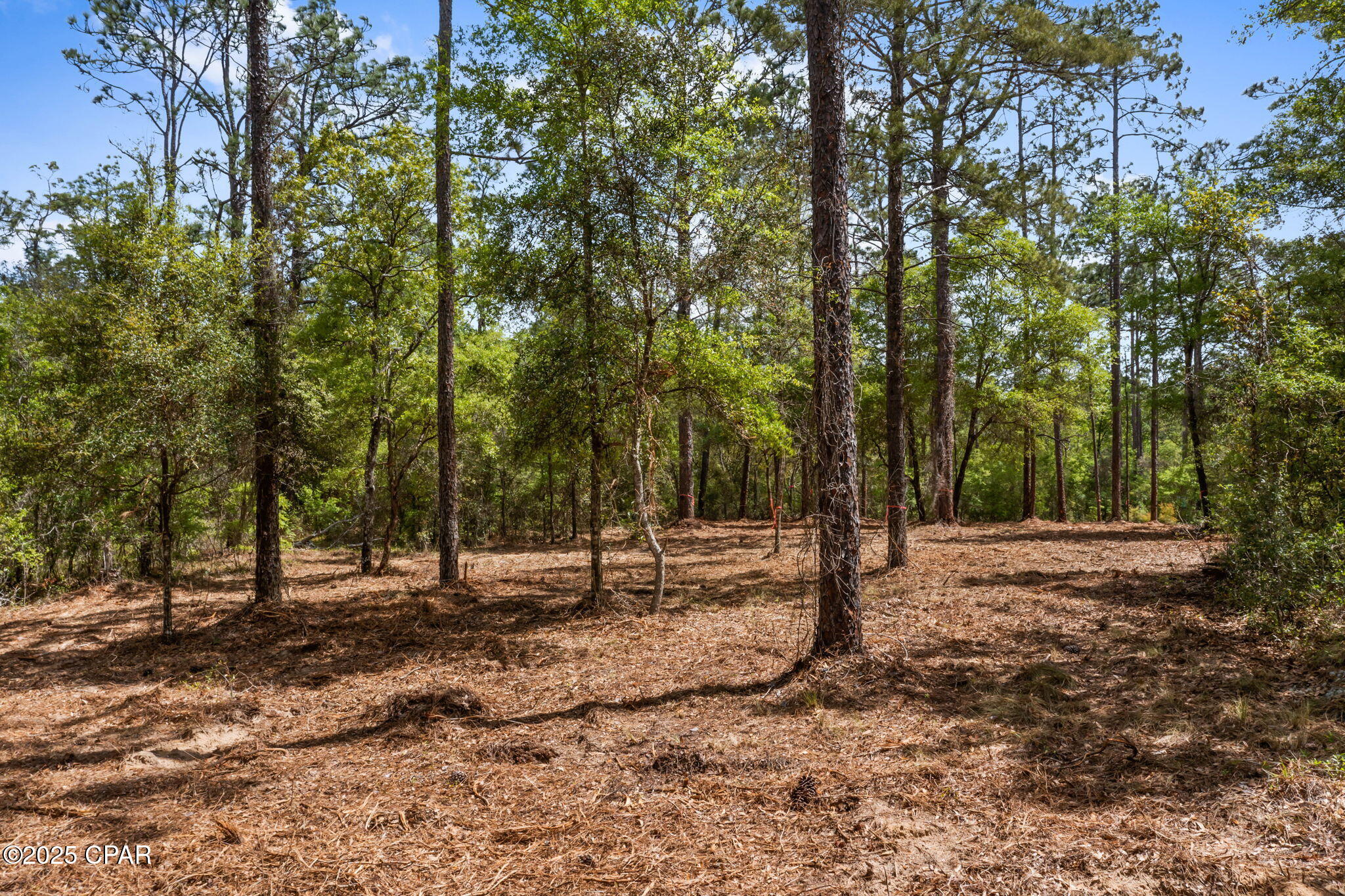 Image 2 For Lot 17 Dunford Circle