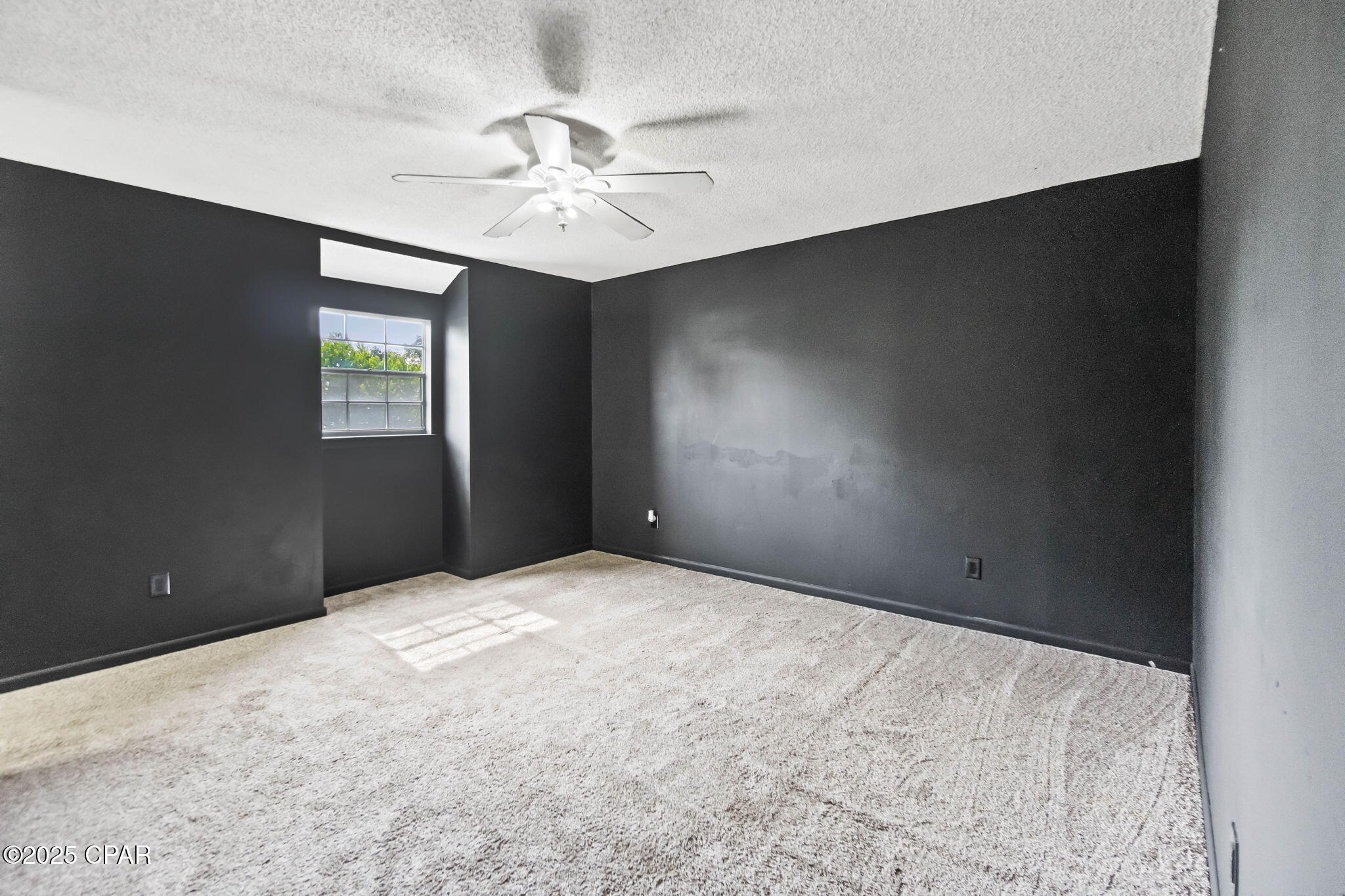 Image 16 For 2973 Caledonia Street