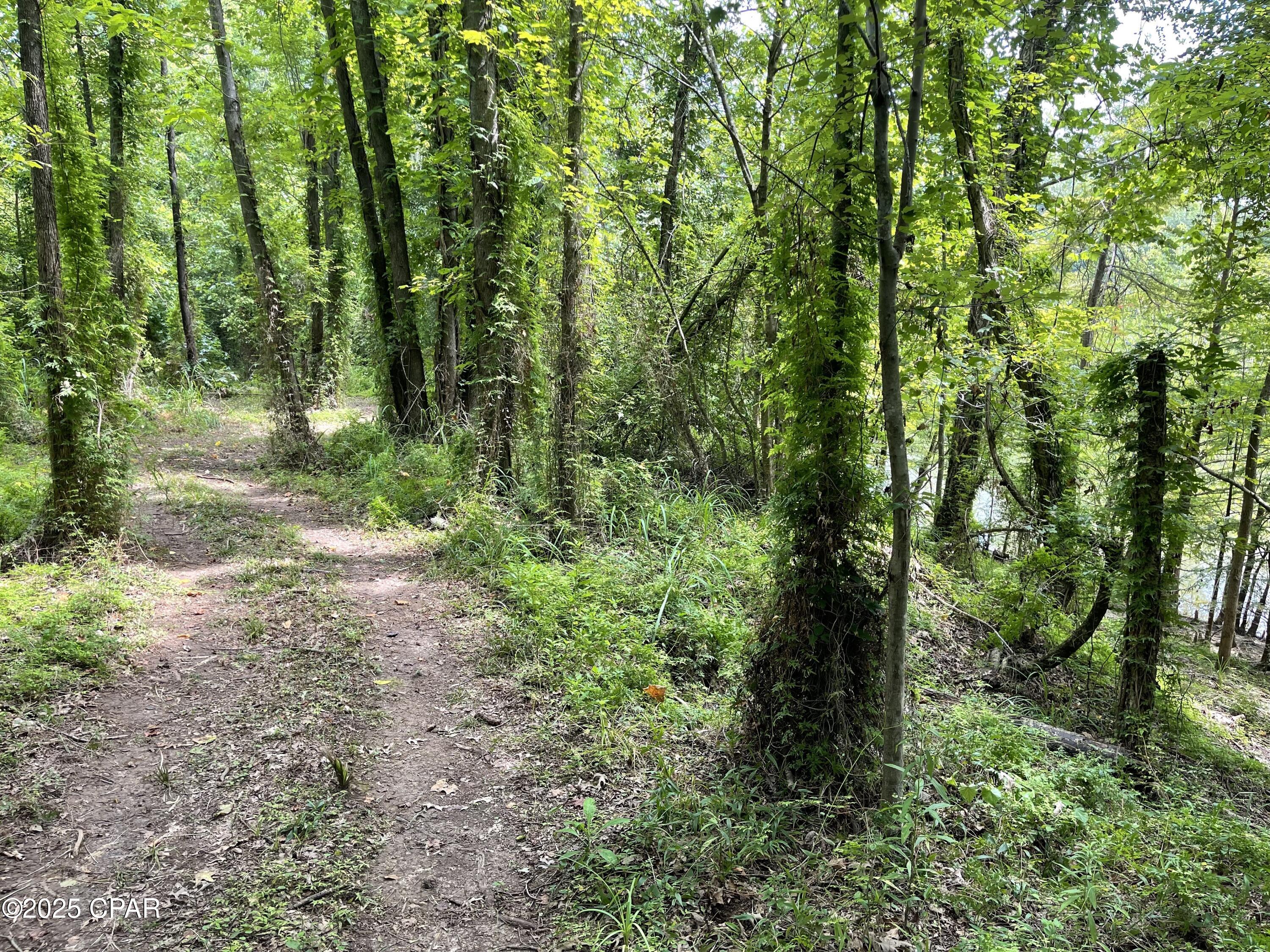 Fuax9asw Rt595odvr839ij6sb1gtjiwno34tarbk_c