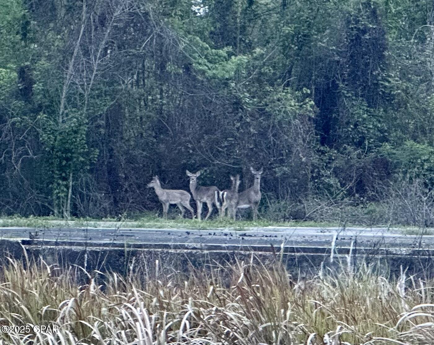 Q2emlct0pupwcslxctiuthhokunwcx1wdqlsi35wt4i