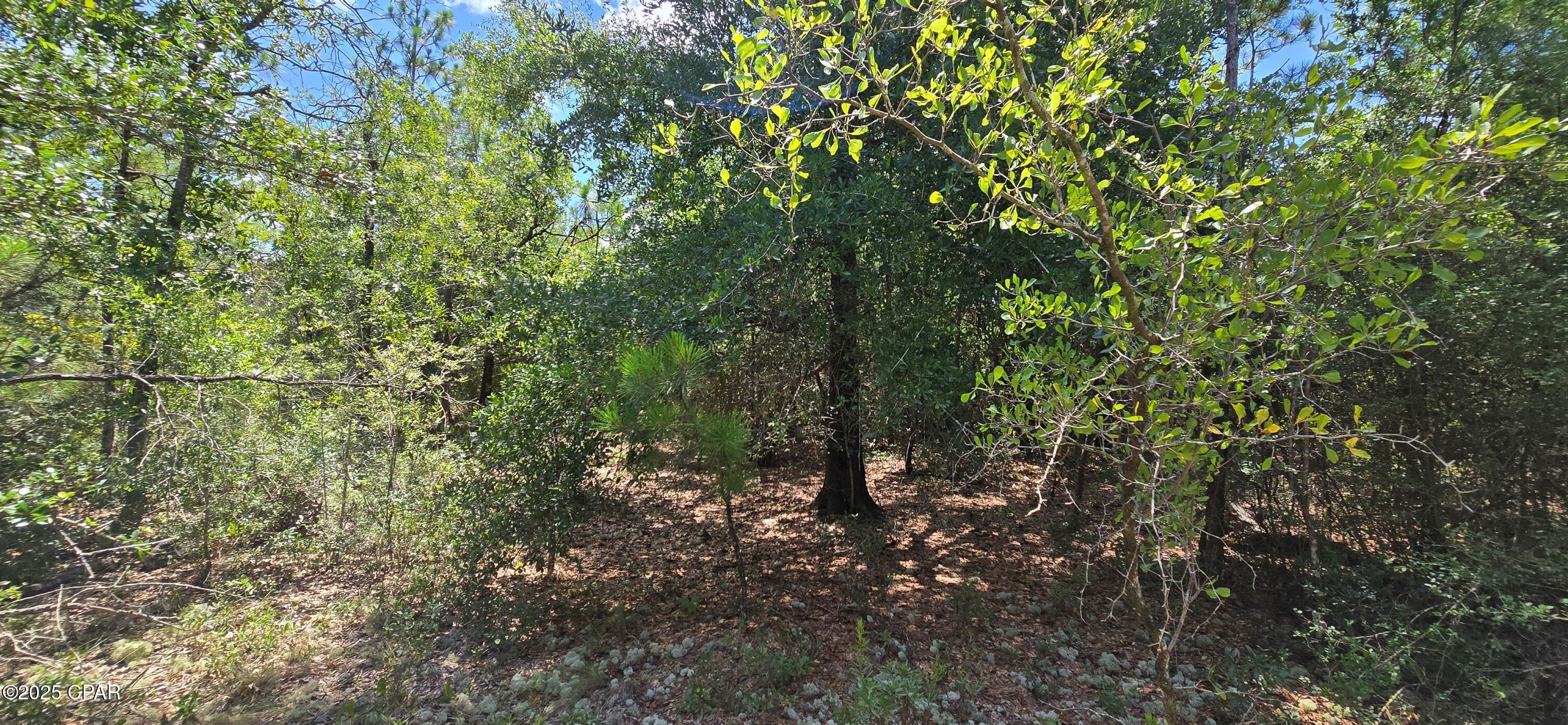 Mdmyy3tolrjucr2bkduhykllhkn38jq7s4xacd3l6nk