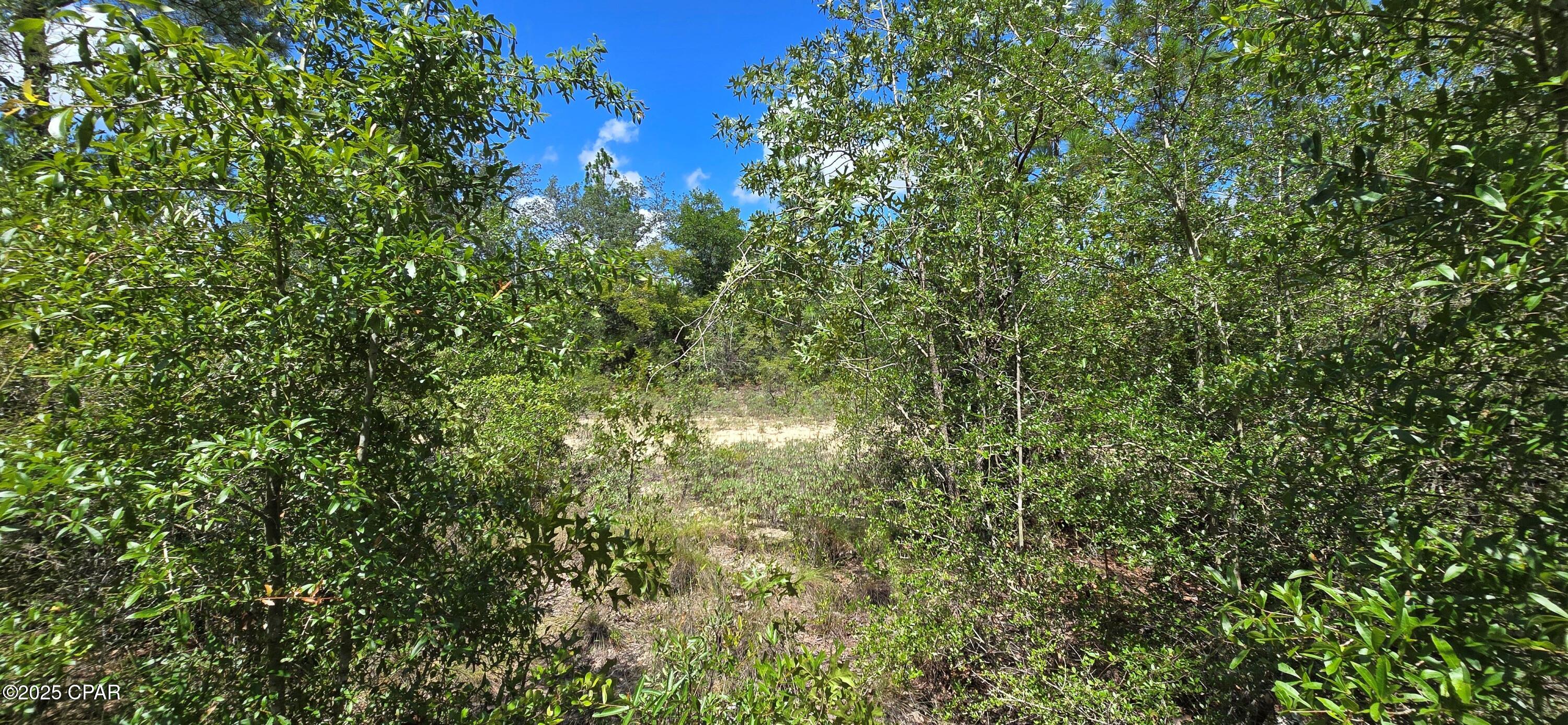 Tnsqb_lnhpzf8m8xxftczor11nmnscfycpvsbfq0wrg