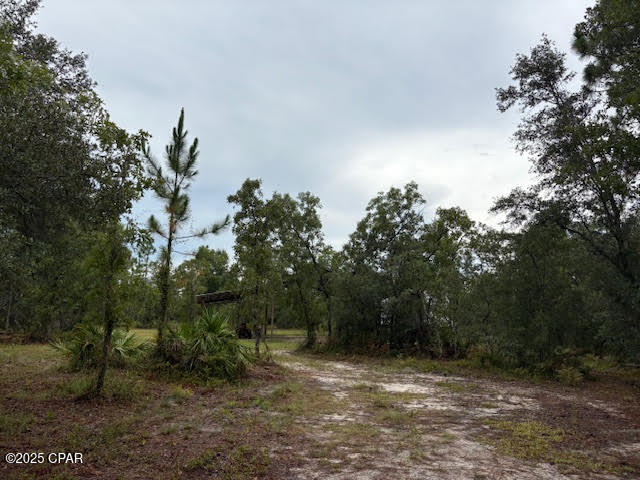 Image 19 For 4539 Miller-white Ln Road