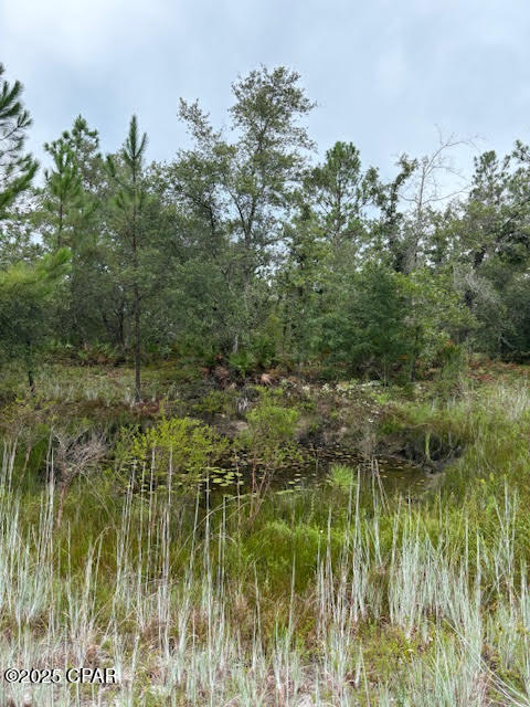 Image 29 For 4539 Miller-white Ln Road