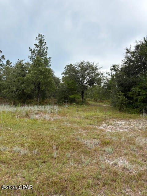 Image 31 For 4539 Miller-white Ln Road